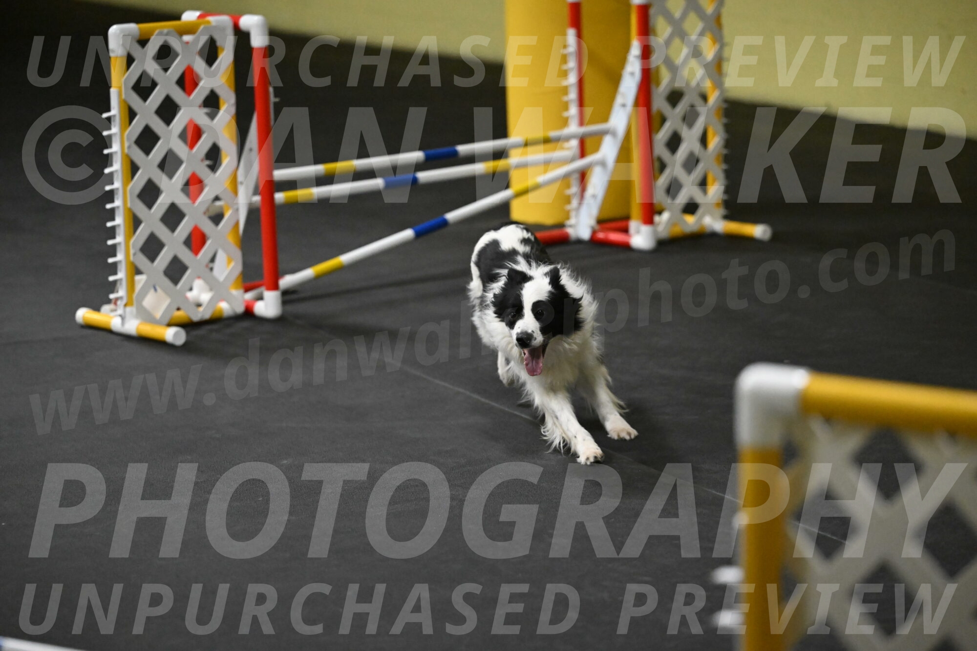 Hoopla-Solinger-02143