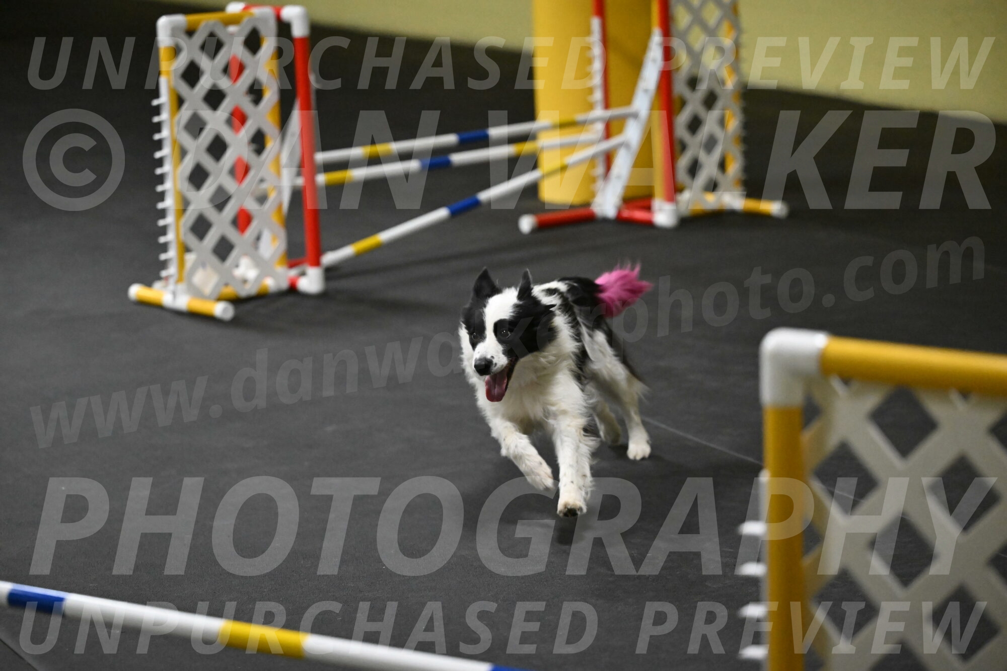 Hoopla-Solinger-02145