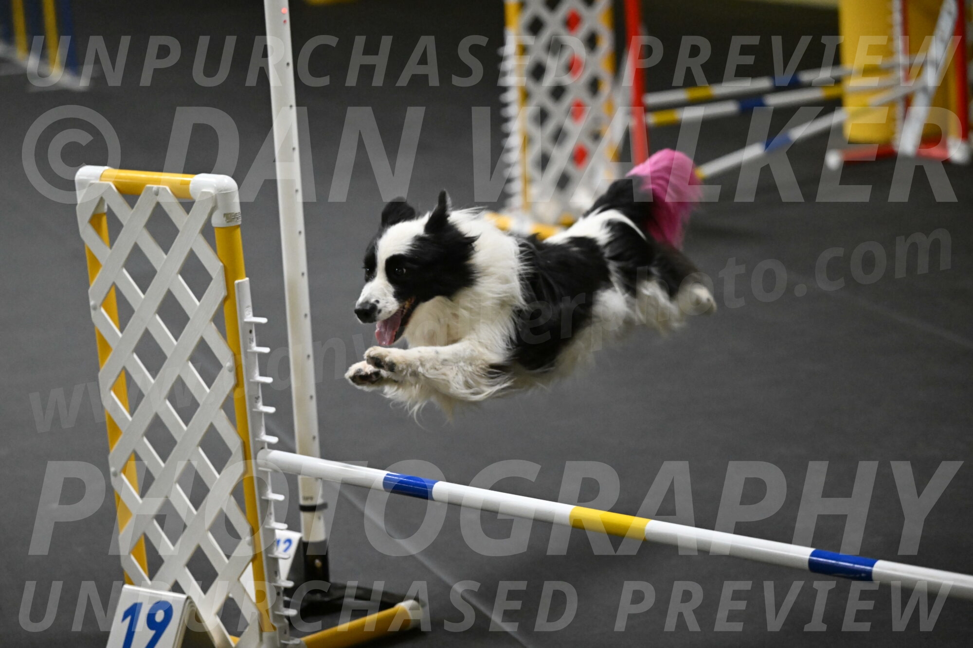 Hoopla-Solinger-02150