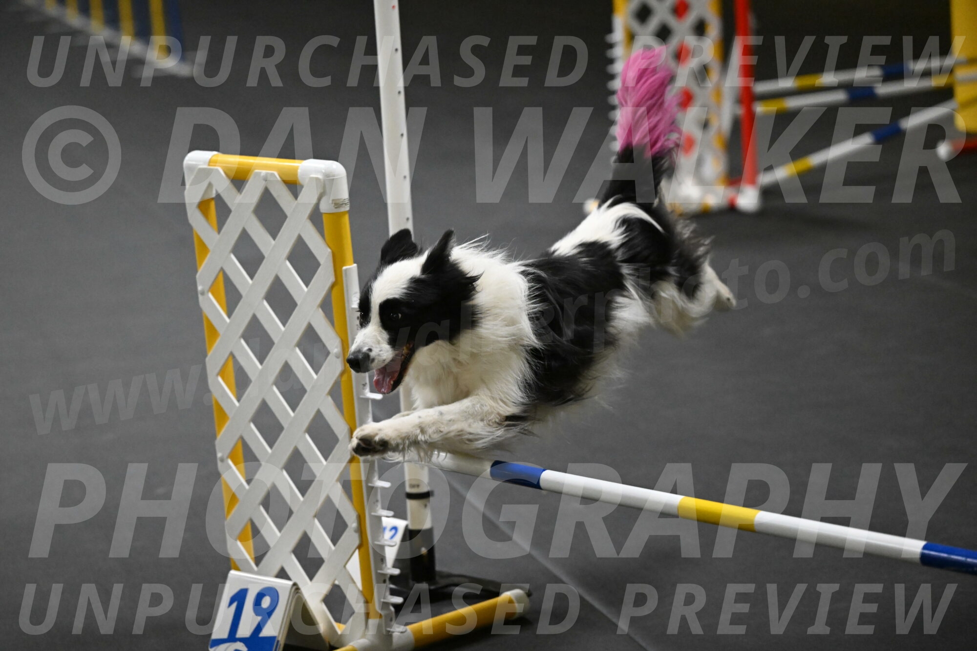 Hoopla-Solinger-02151