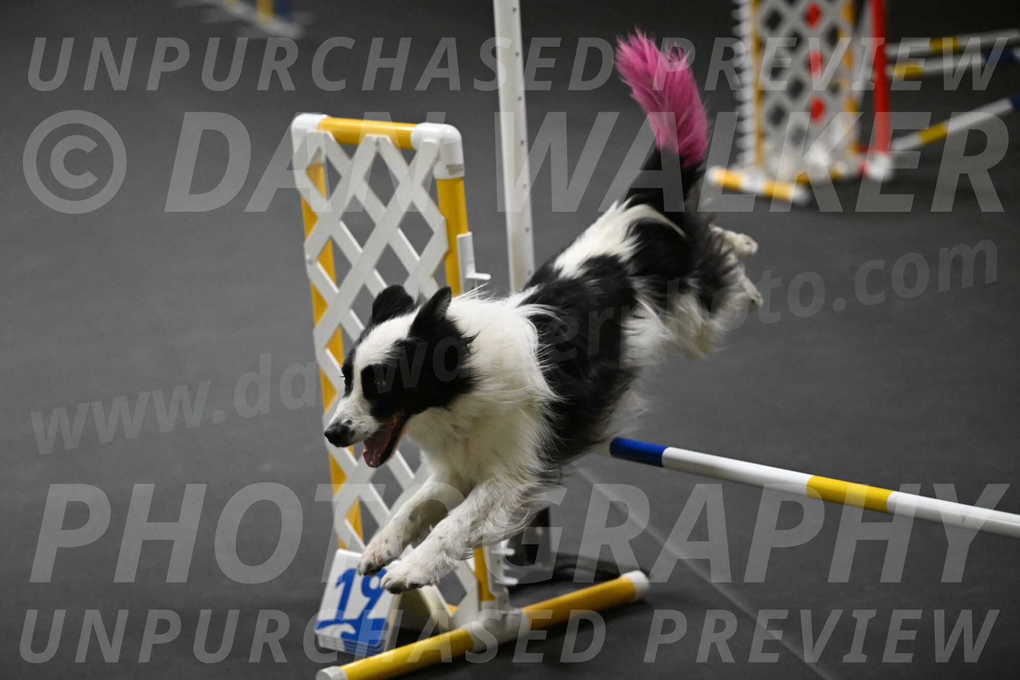 Hoopla-Solinger-02152