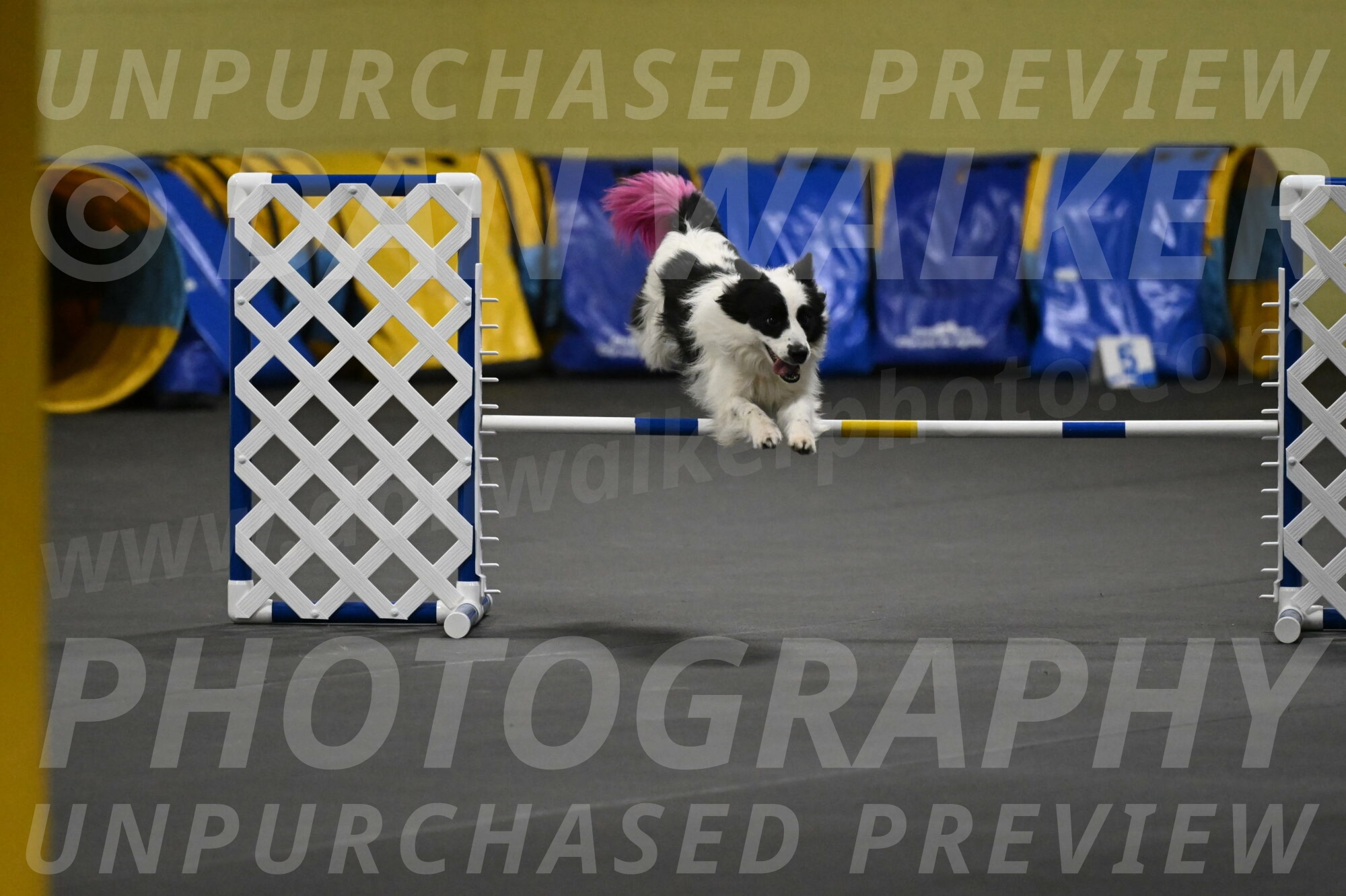 Hoopla-Solinger-02160