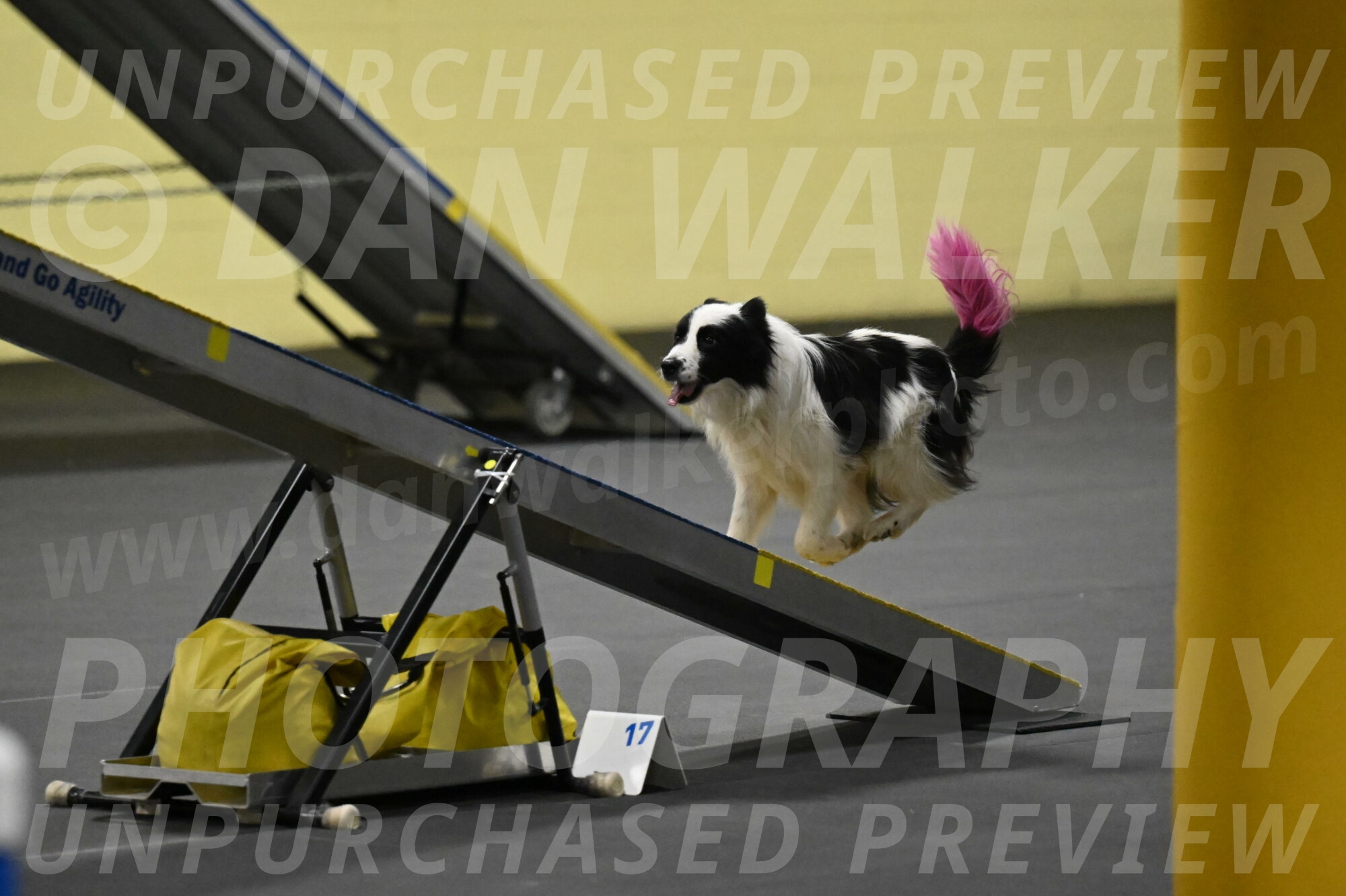 Hoopla-Solinger-02162