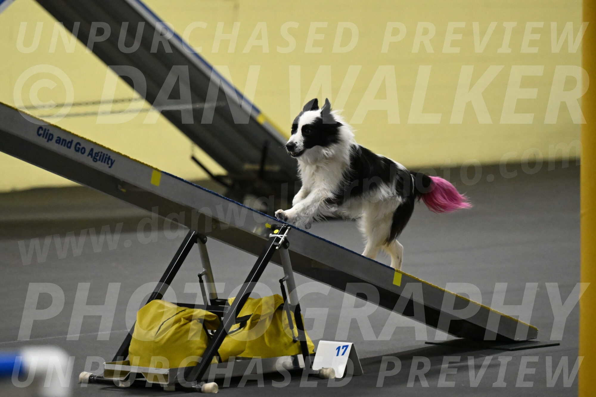 Hoopla-Solinger-02164