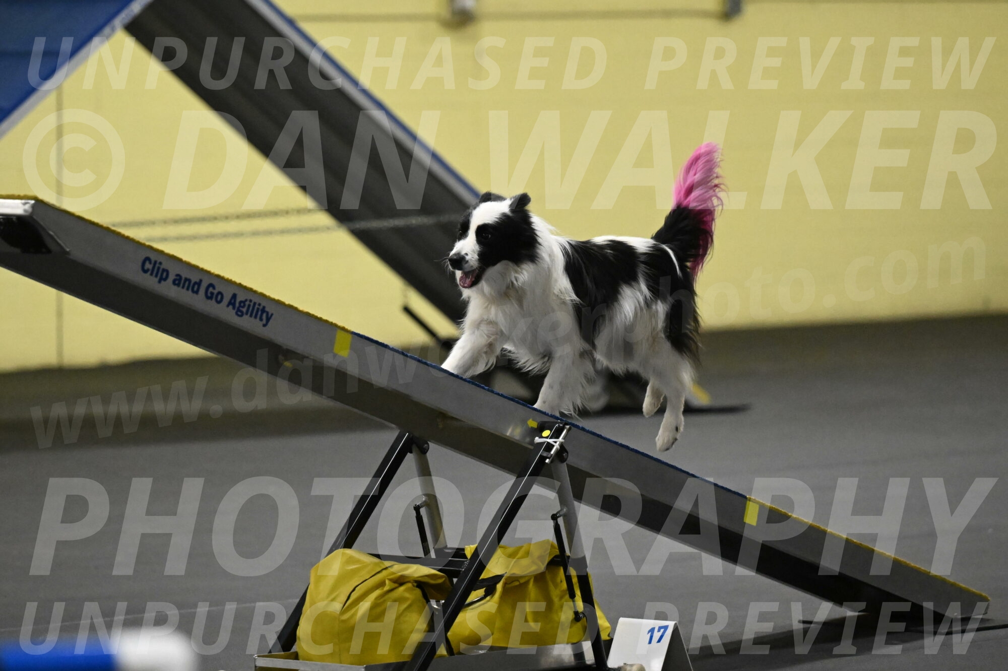 Hoopla-Solinger-02166