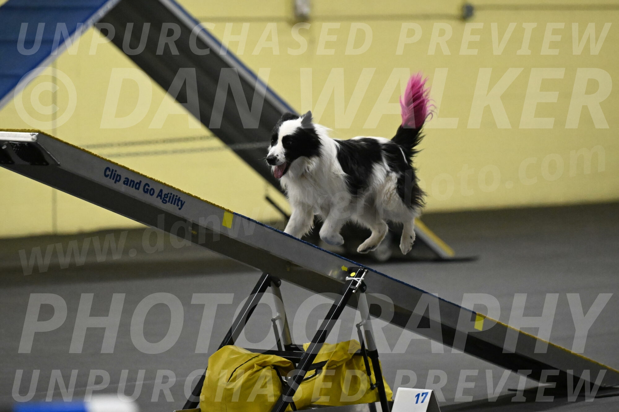 Hoopla-Solinger-02167