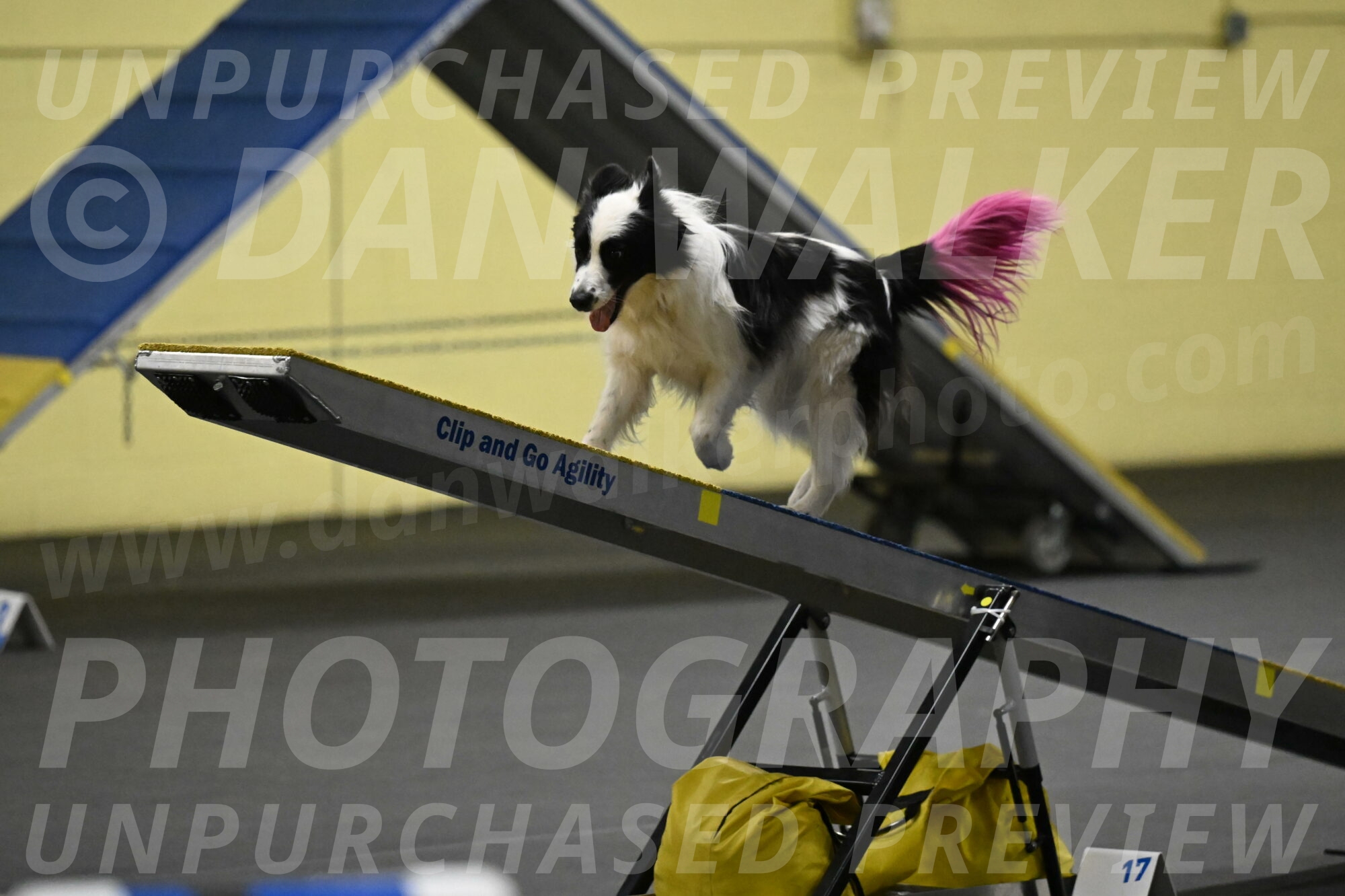 Hoopla-Solinger-02171