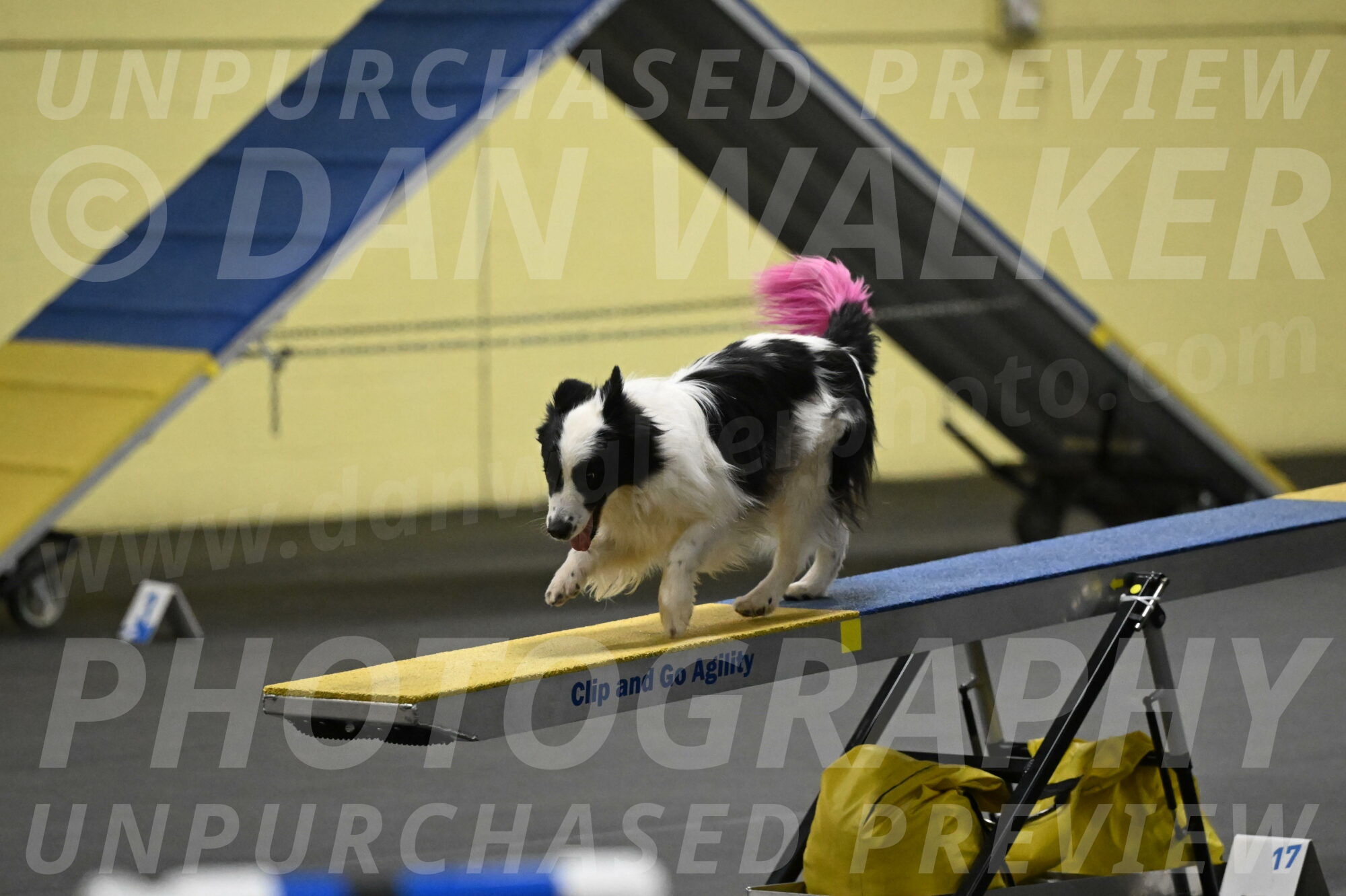 Hoopla-Solinger-02176