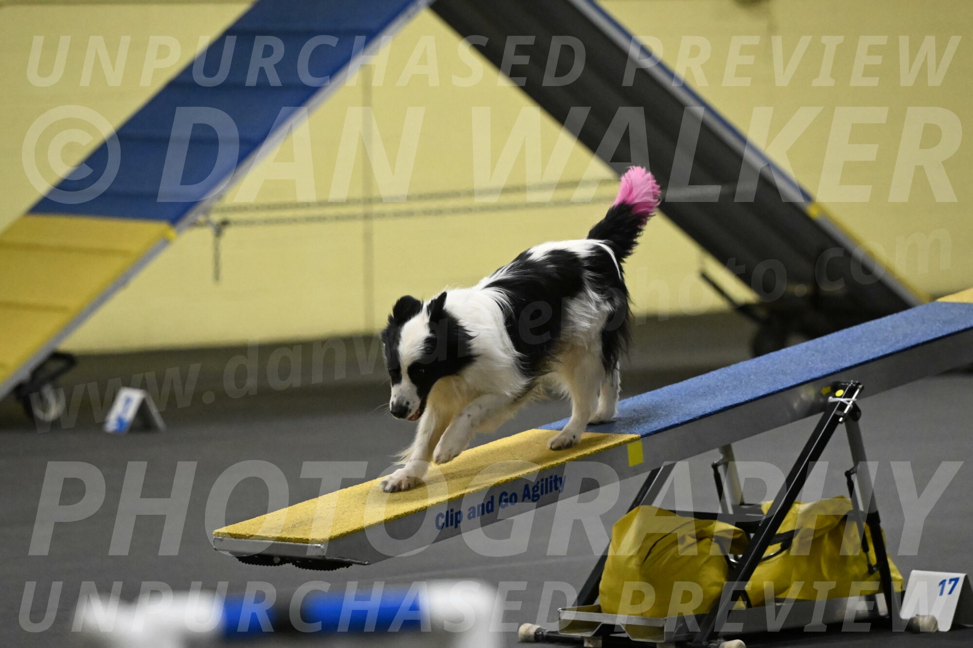 Hoopla-Solinger-02177