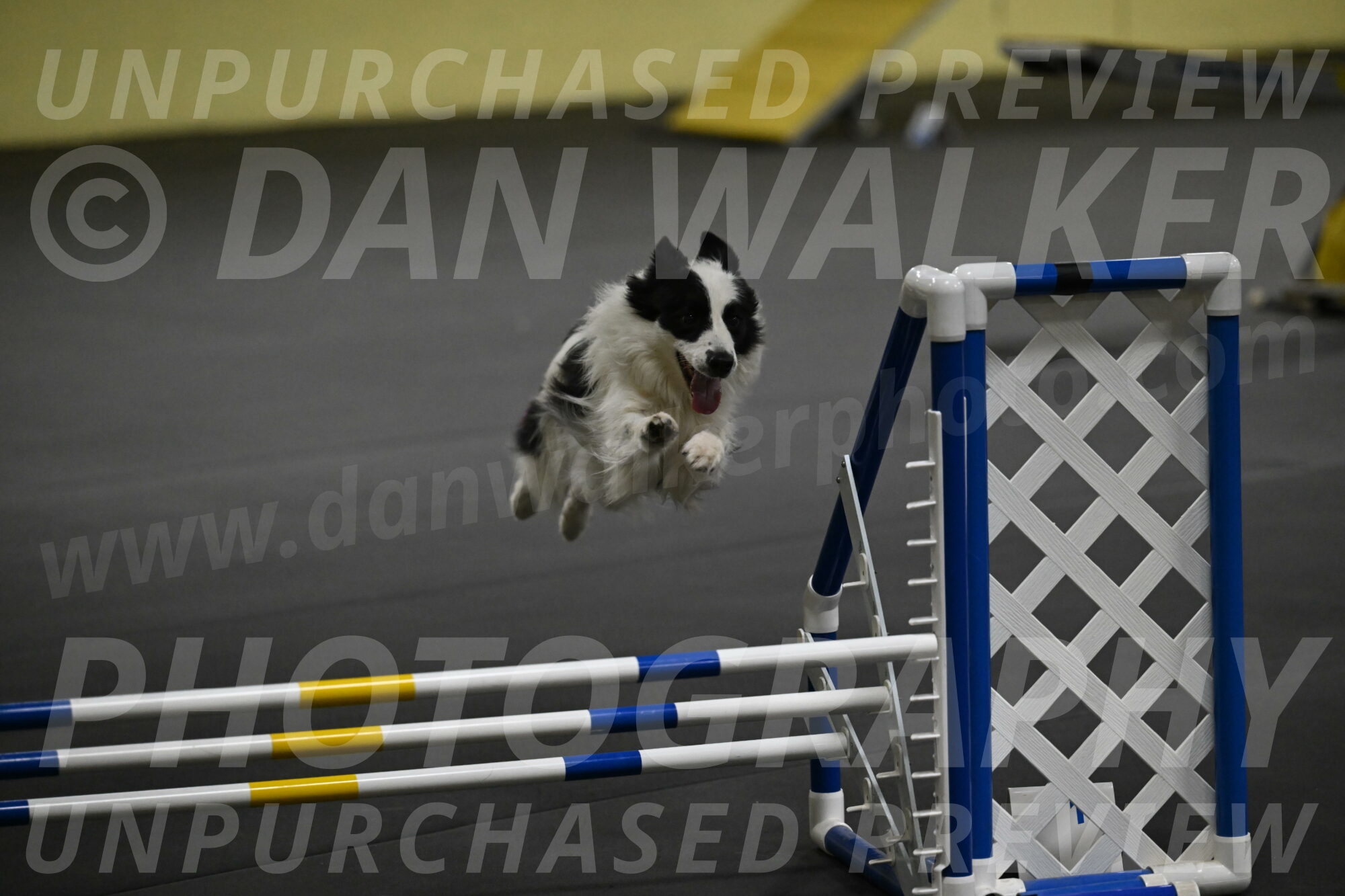 Hoopla-Solinger-02183