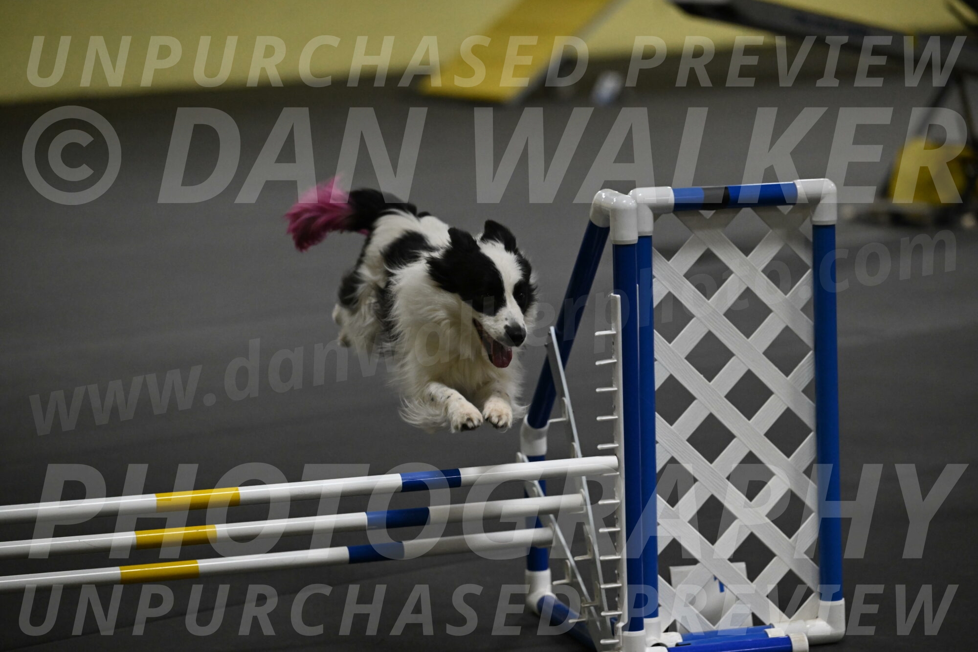 Hoopla-Solinger-02185