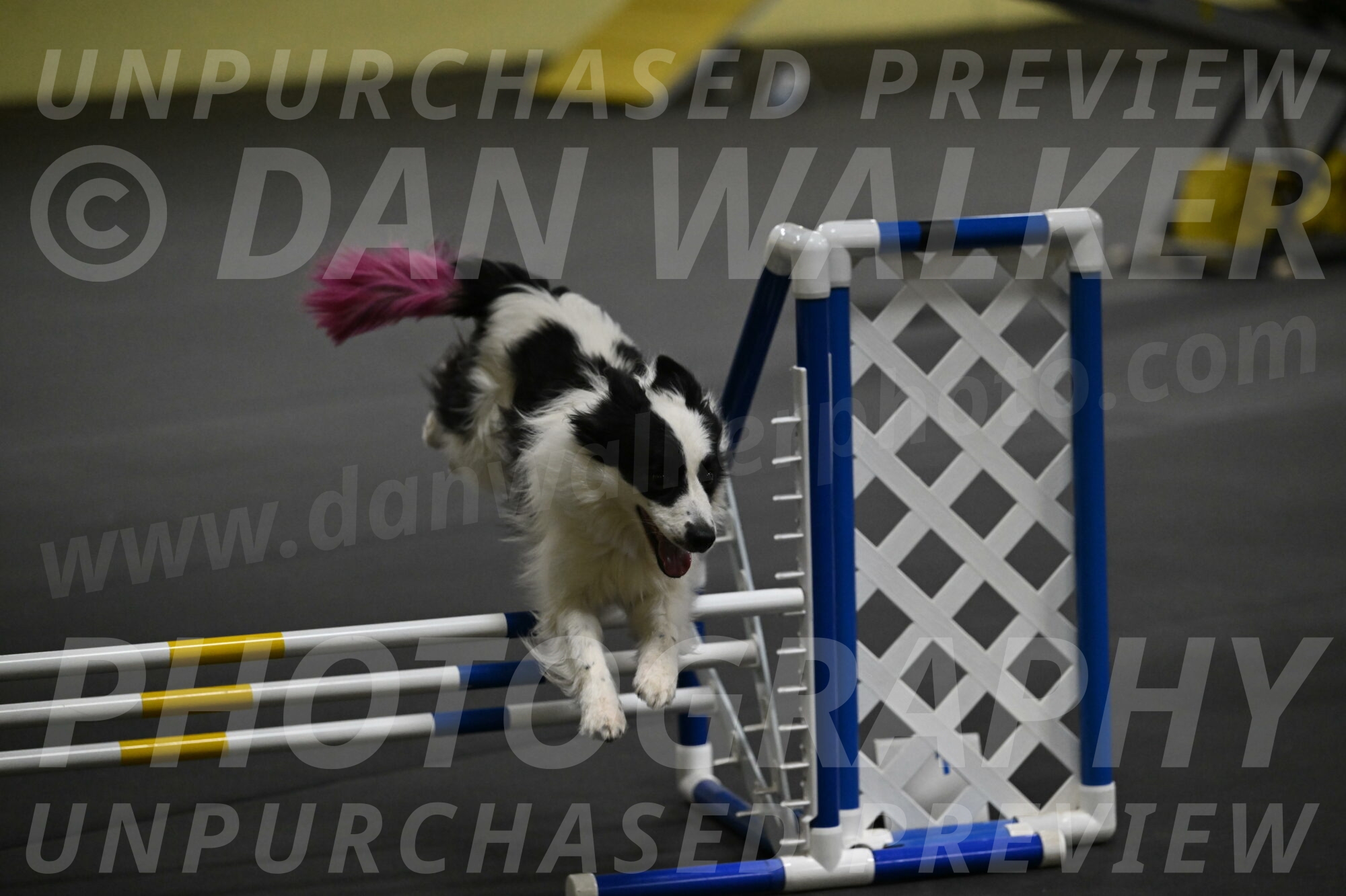 Hoopla-Solinger-02186