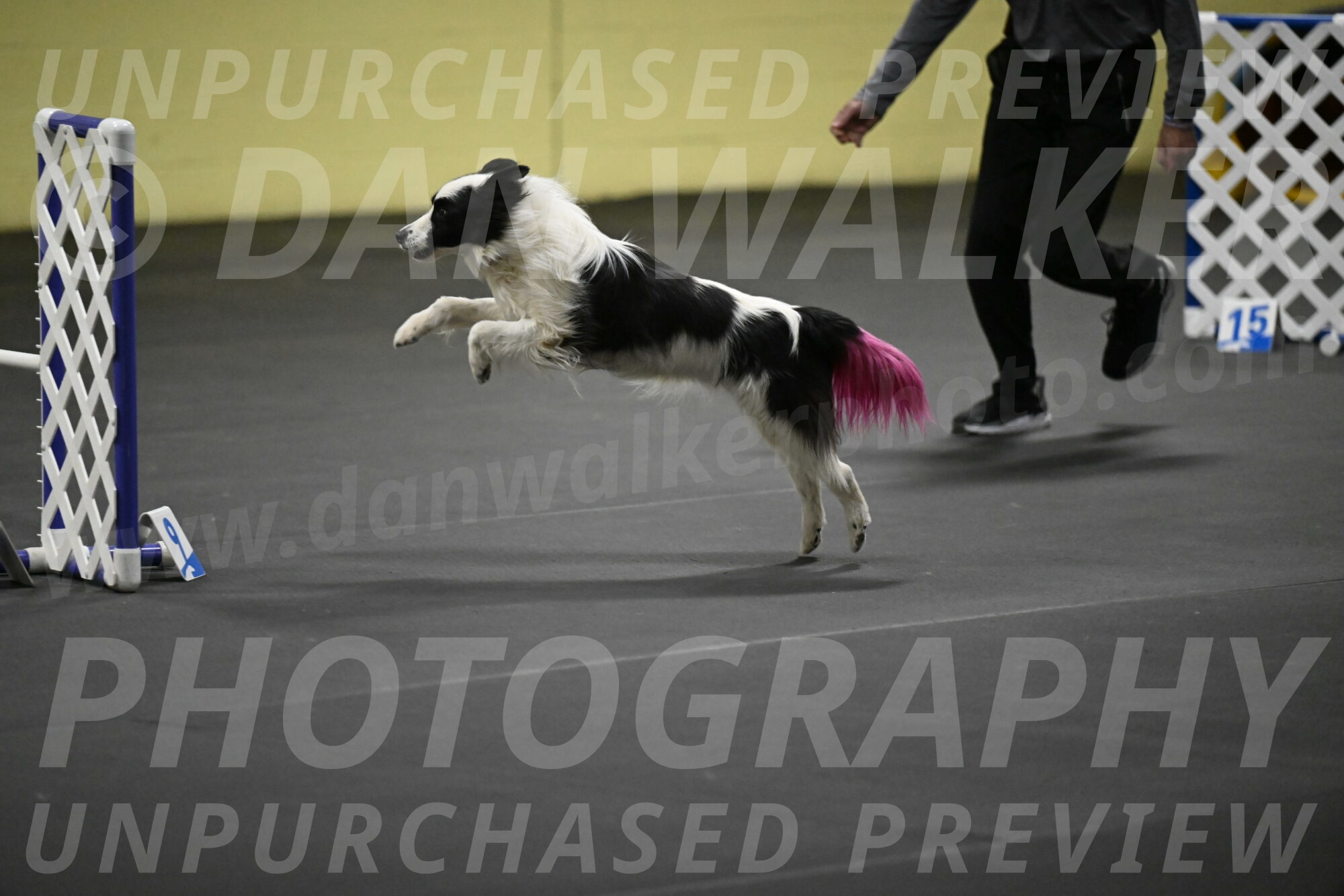 Hoopla-Solinger-02192