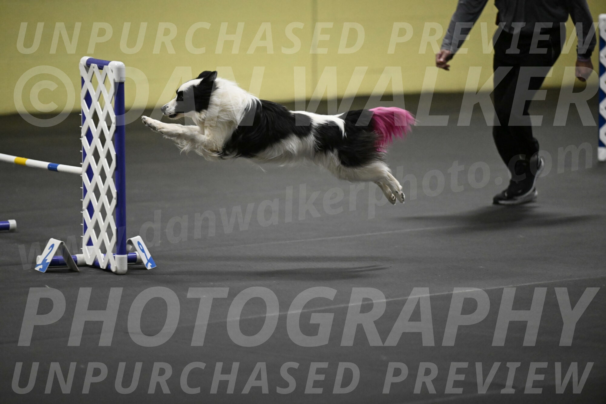 Hoopla-Solinger-02193