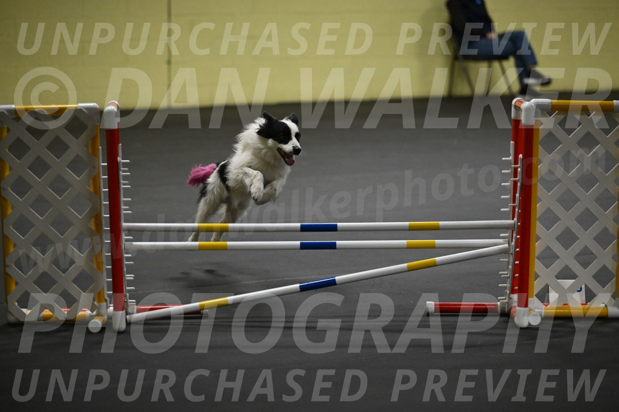 Hoopla-Solinger-02200