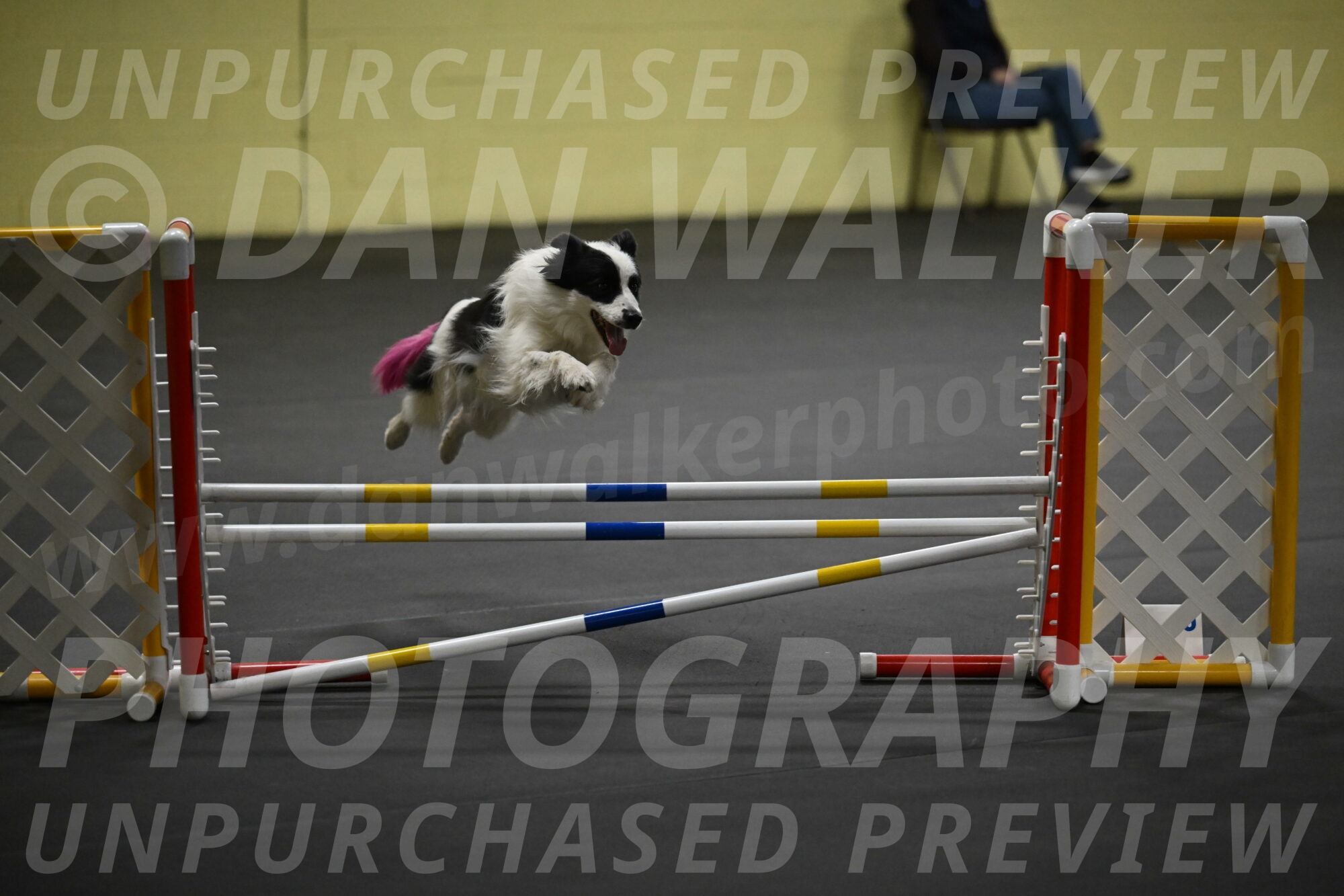 Hoopla-Solinger-02201