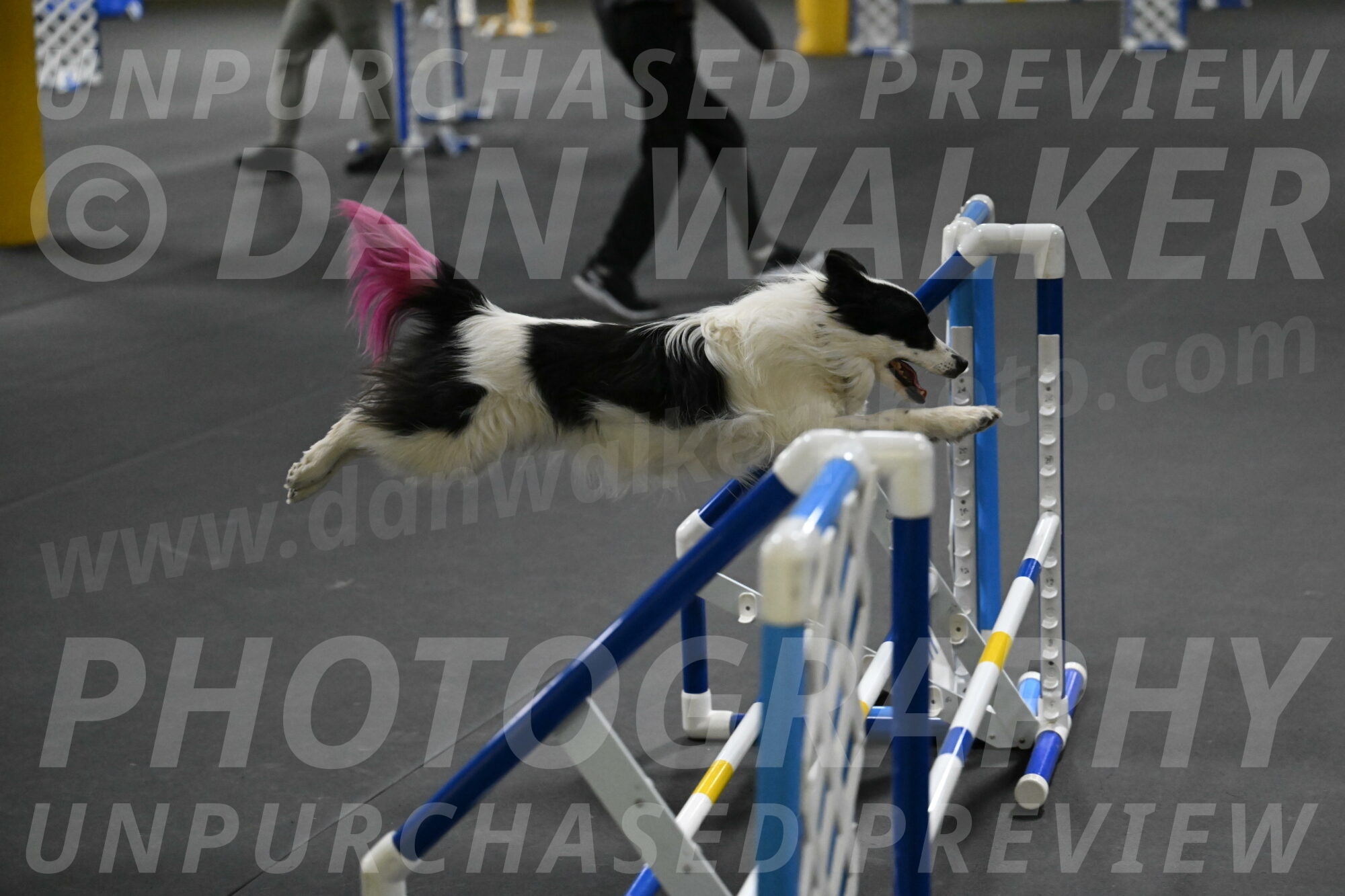 Hoopla-Solinger-02213