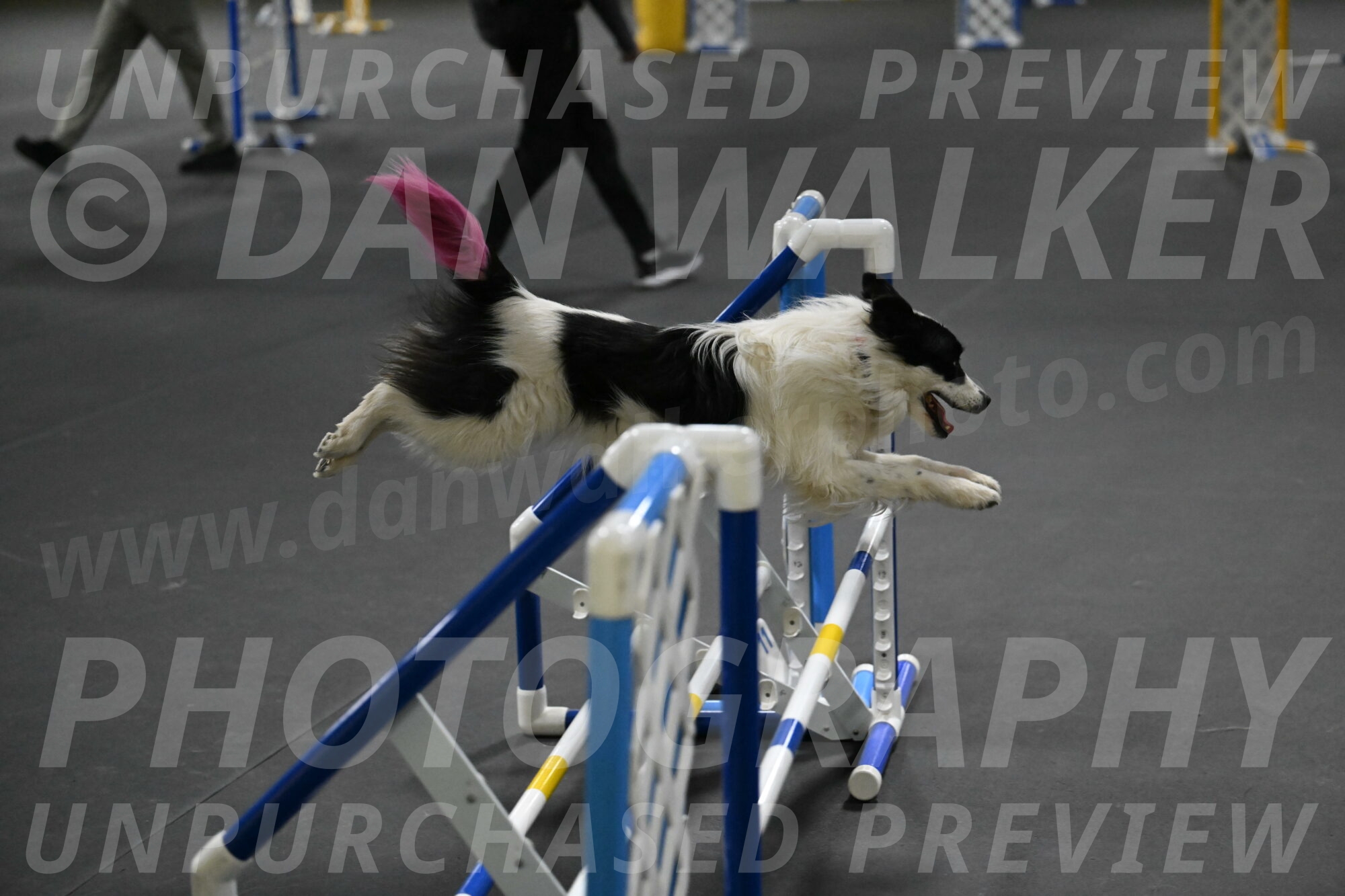 Hoopla-Solinger-02214