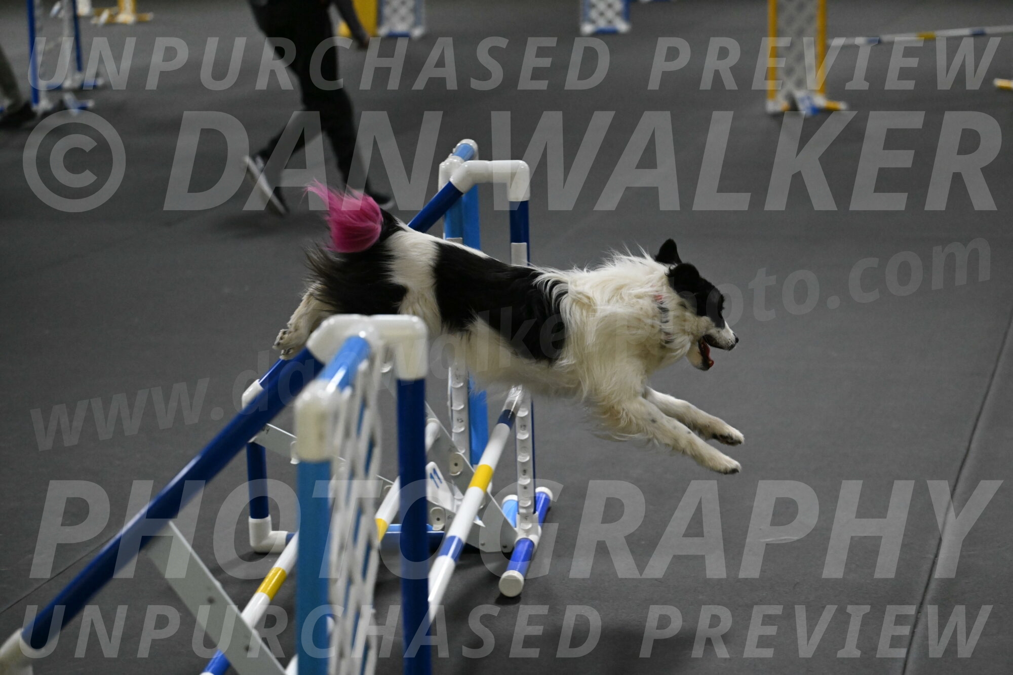 Hoopla-Solinger-02215