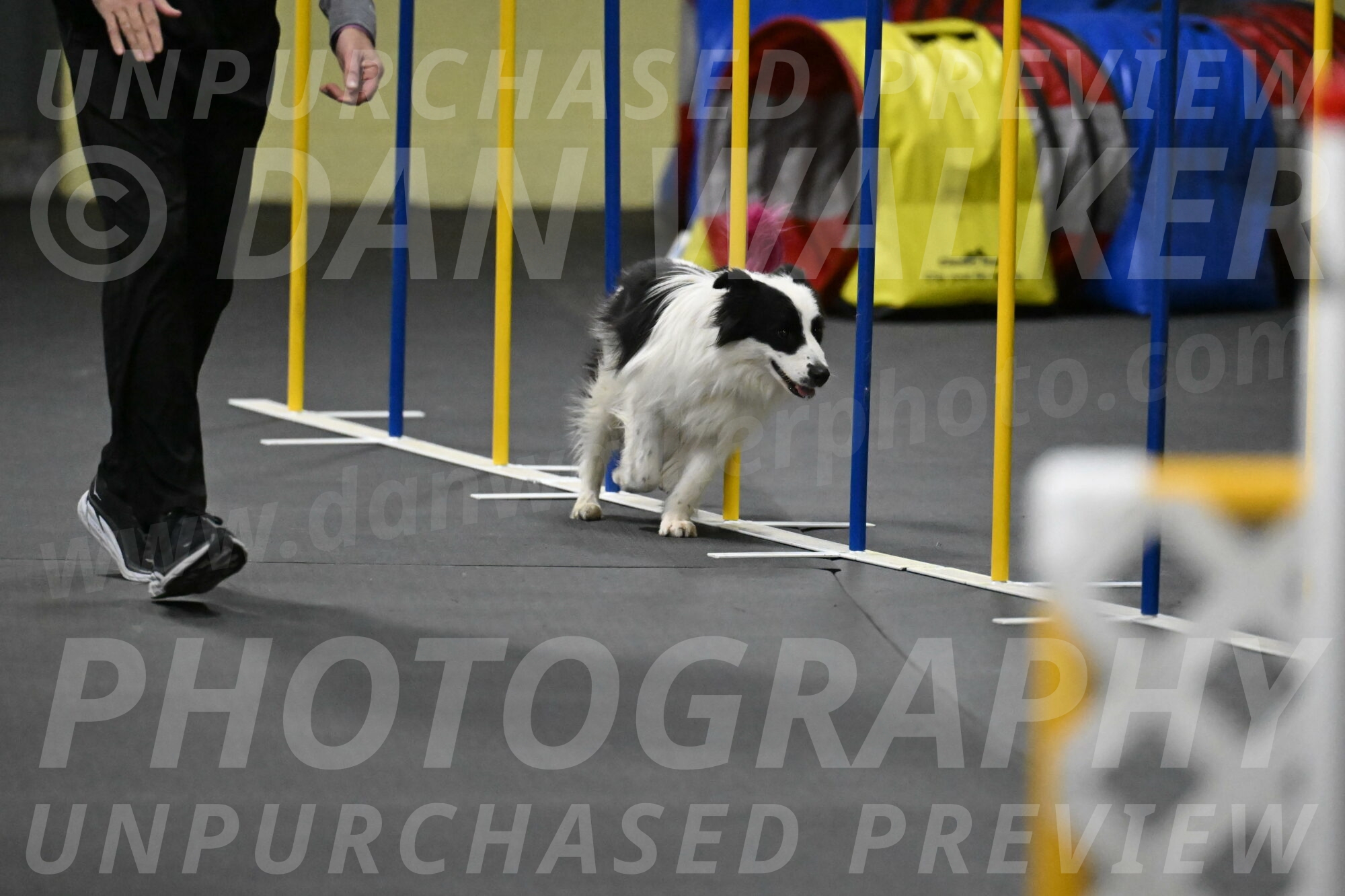 Hoopla-Solinger-02217