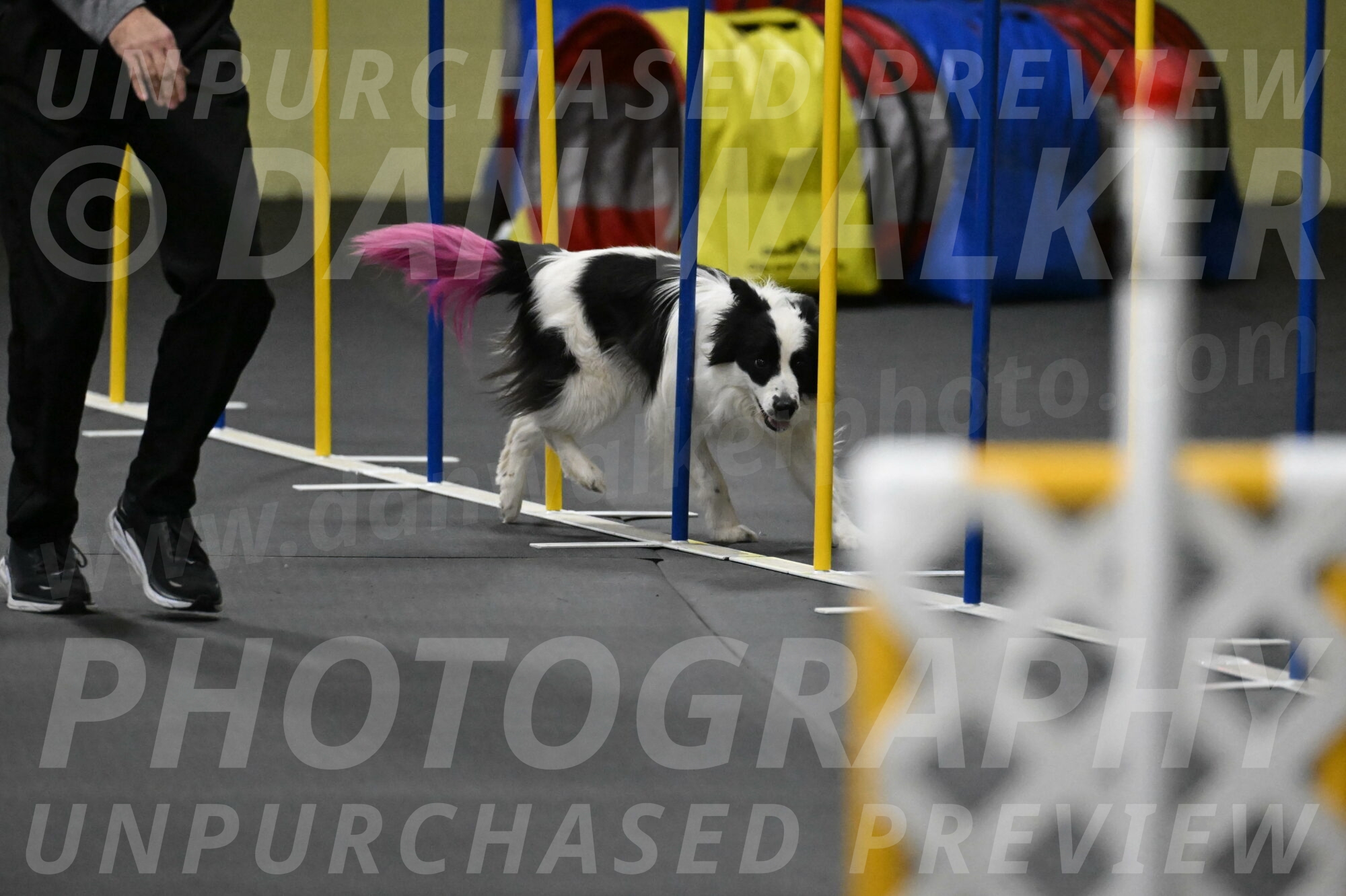 Hoopla-Solinger-02220