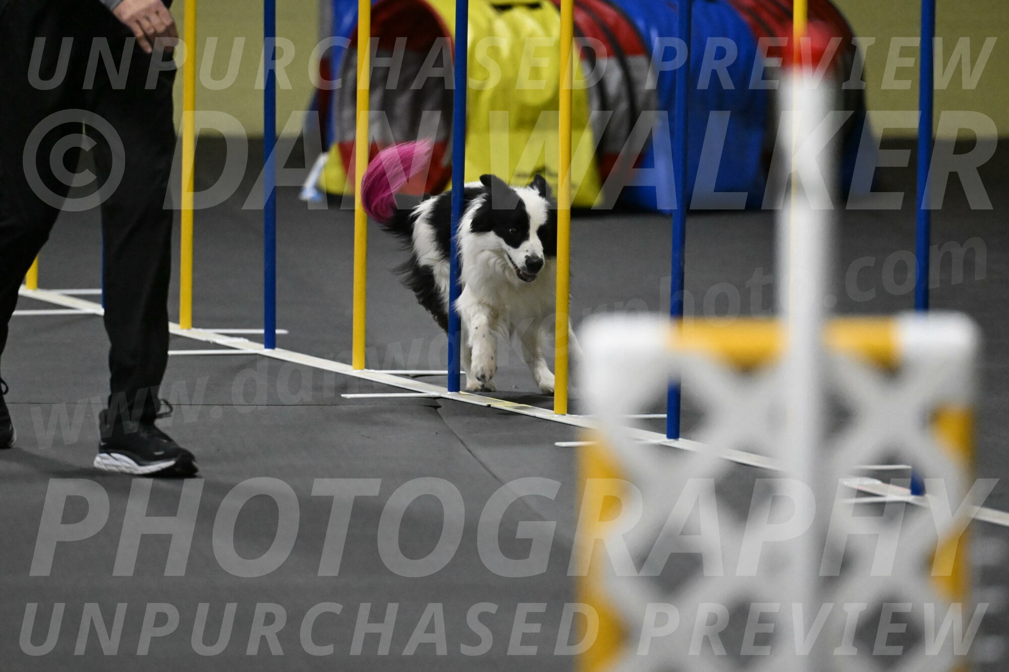 Hoopla-Solinger-02221