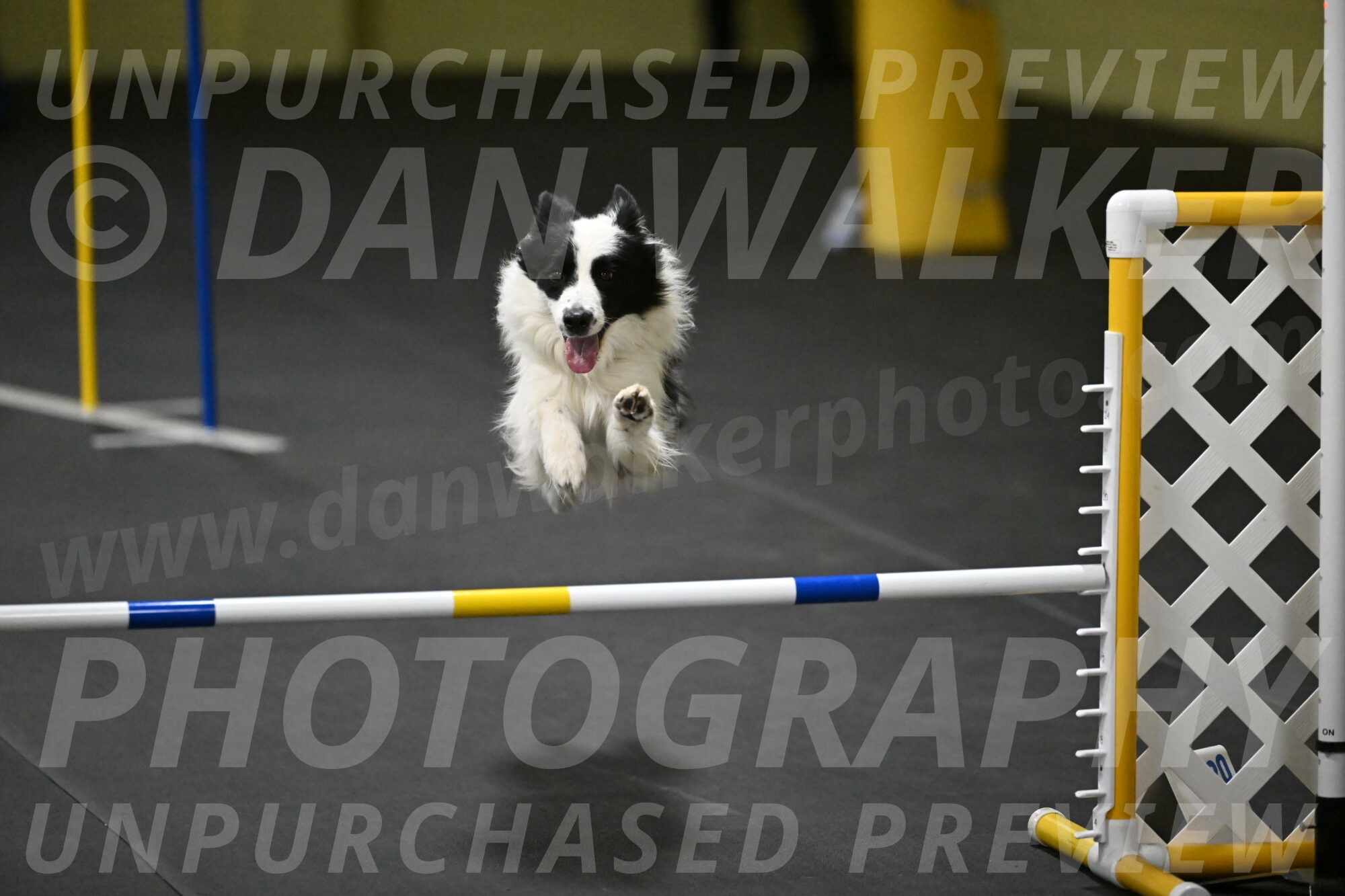 Hoopla-Solinger-02229