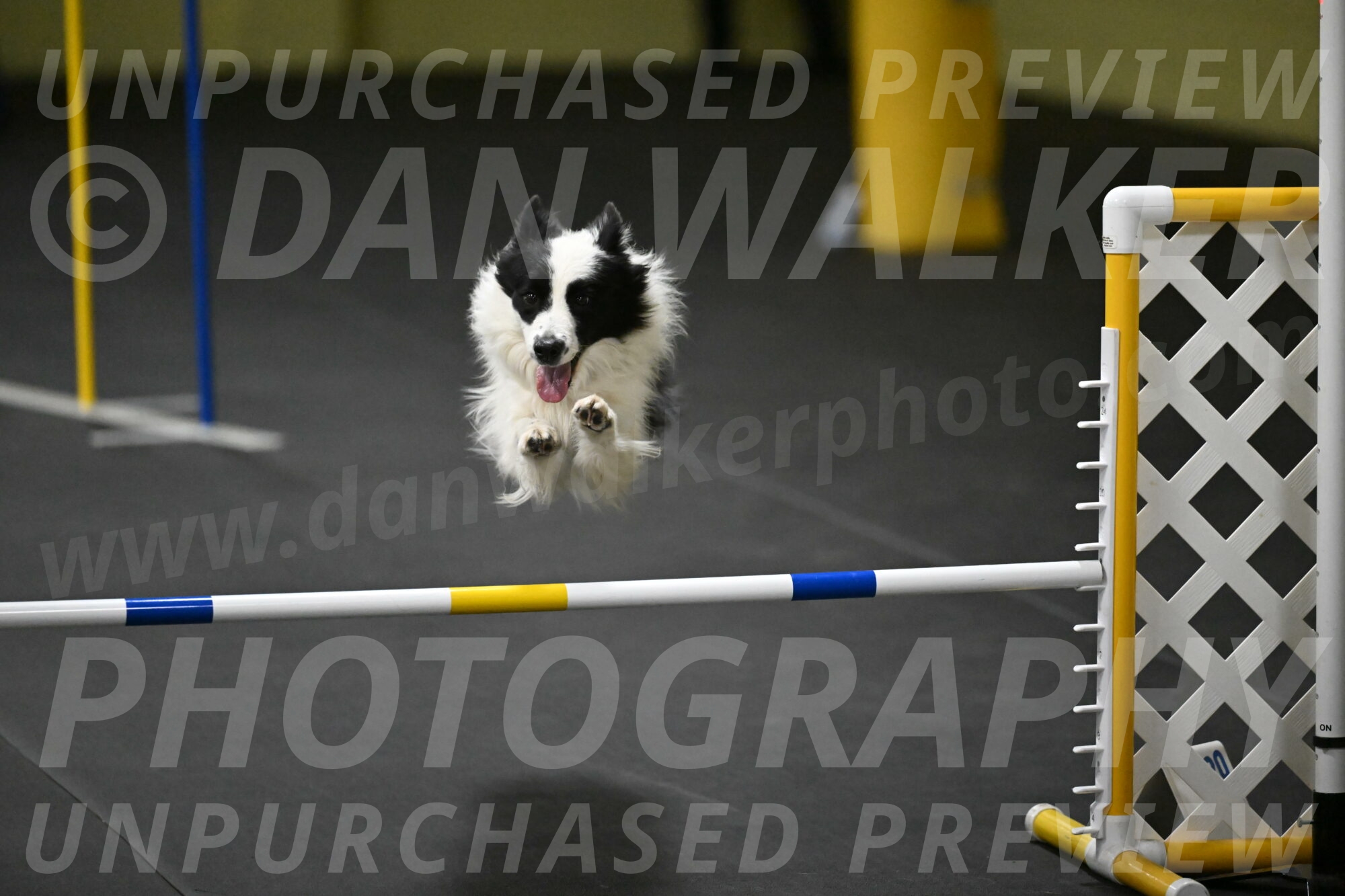 Hoopla-Solinger-02230