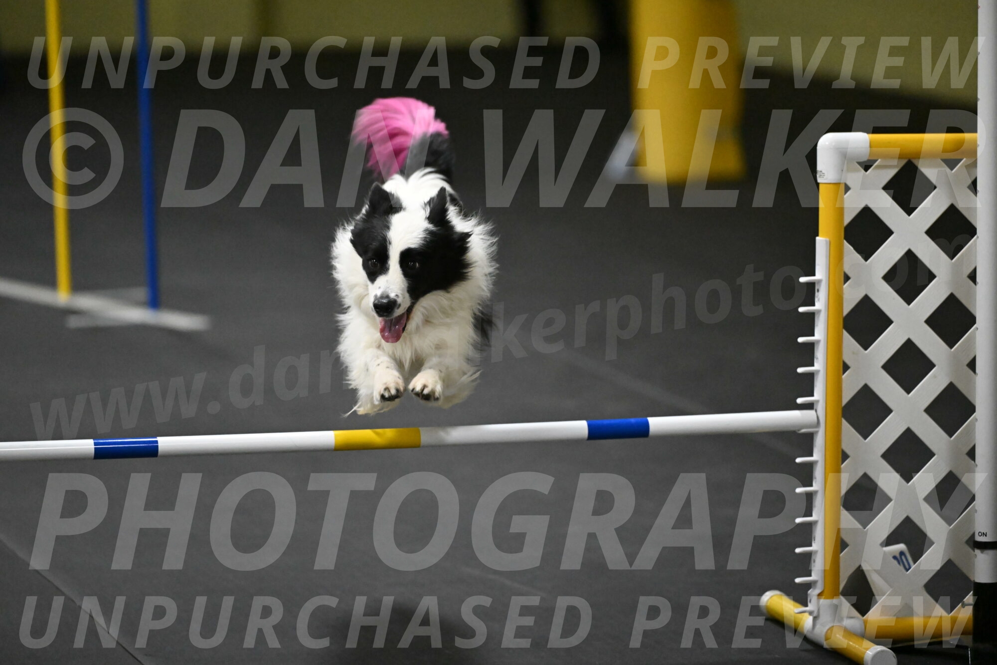 Hoopla-Solinger-02231