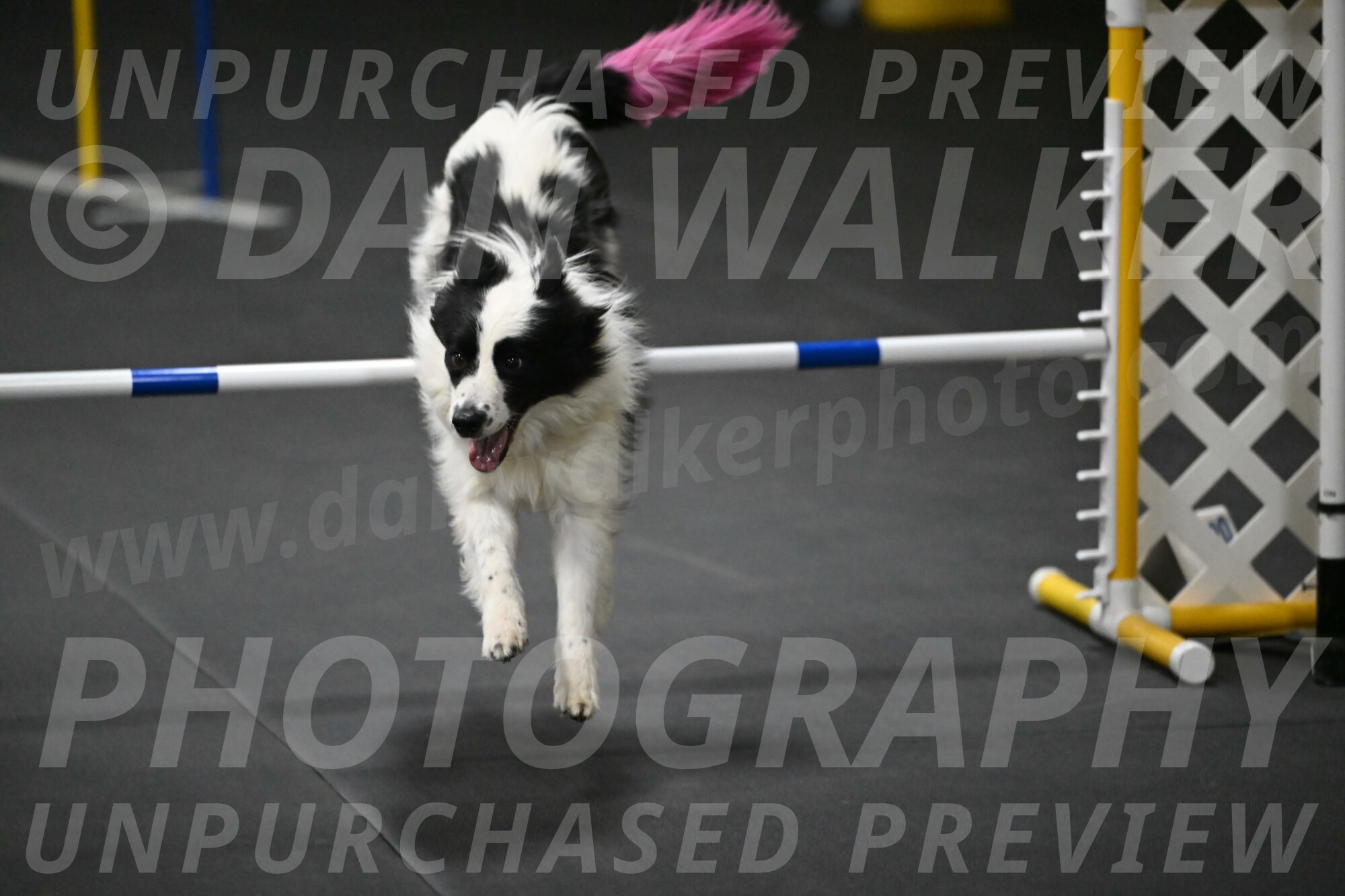 Hoopla-Solinger-02233