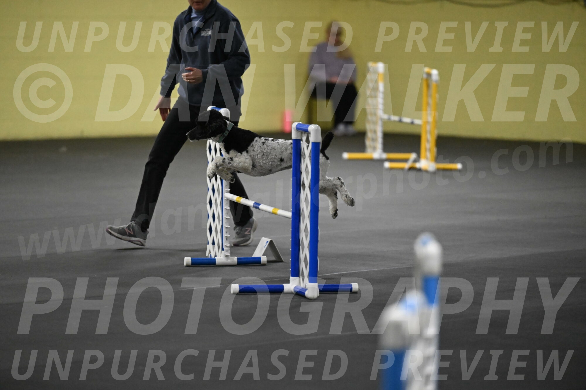 Jessie-DeBroux-10537