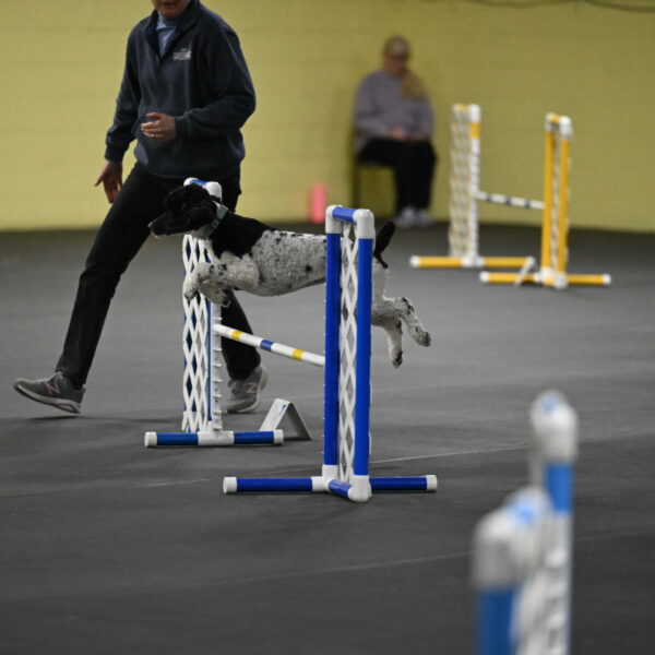 Jessie-DeBroux-10537