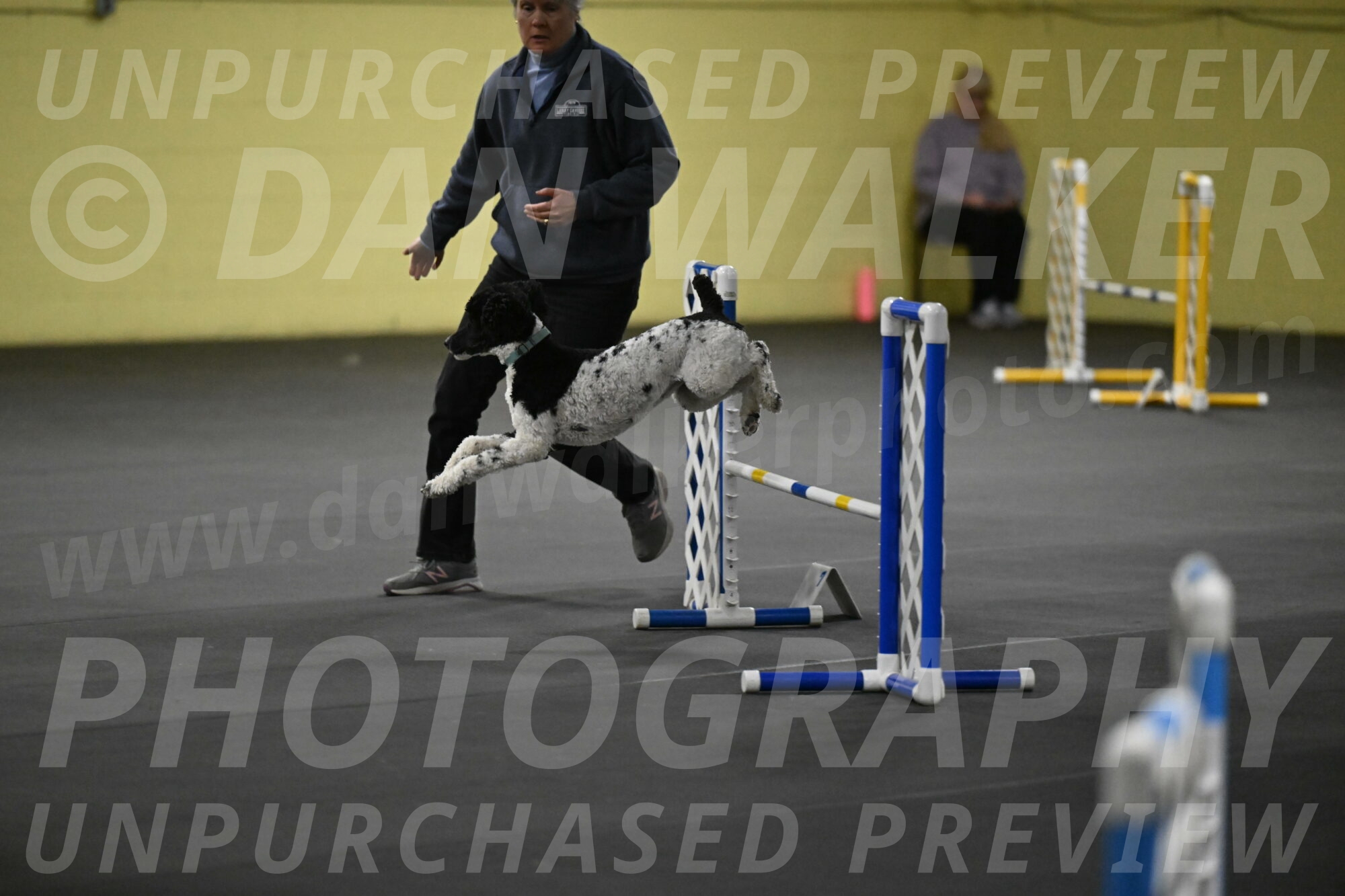 Jessie-DeBroux-10538