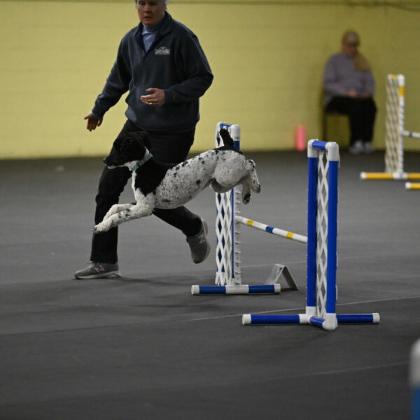 Jessie-DeBroux-10538