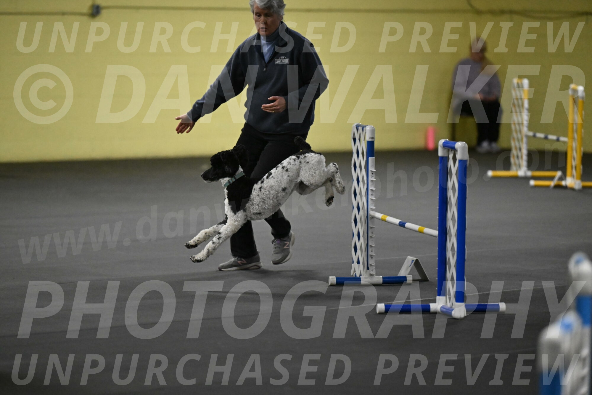 Jessie-DeBroux-10539