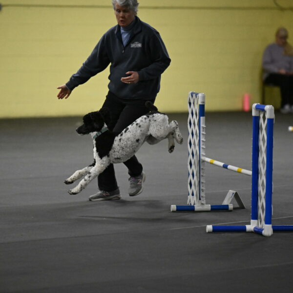 Jessie-DeBroux-10539