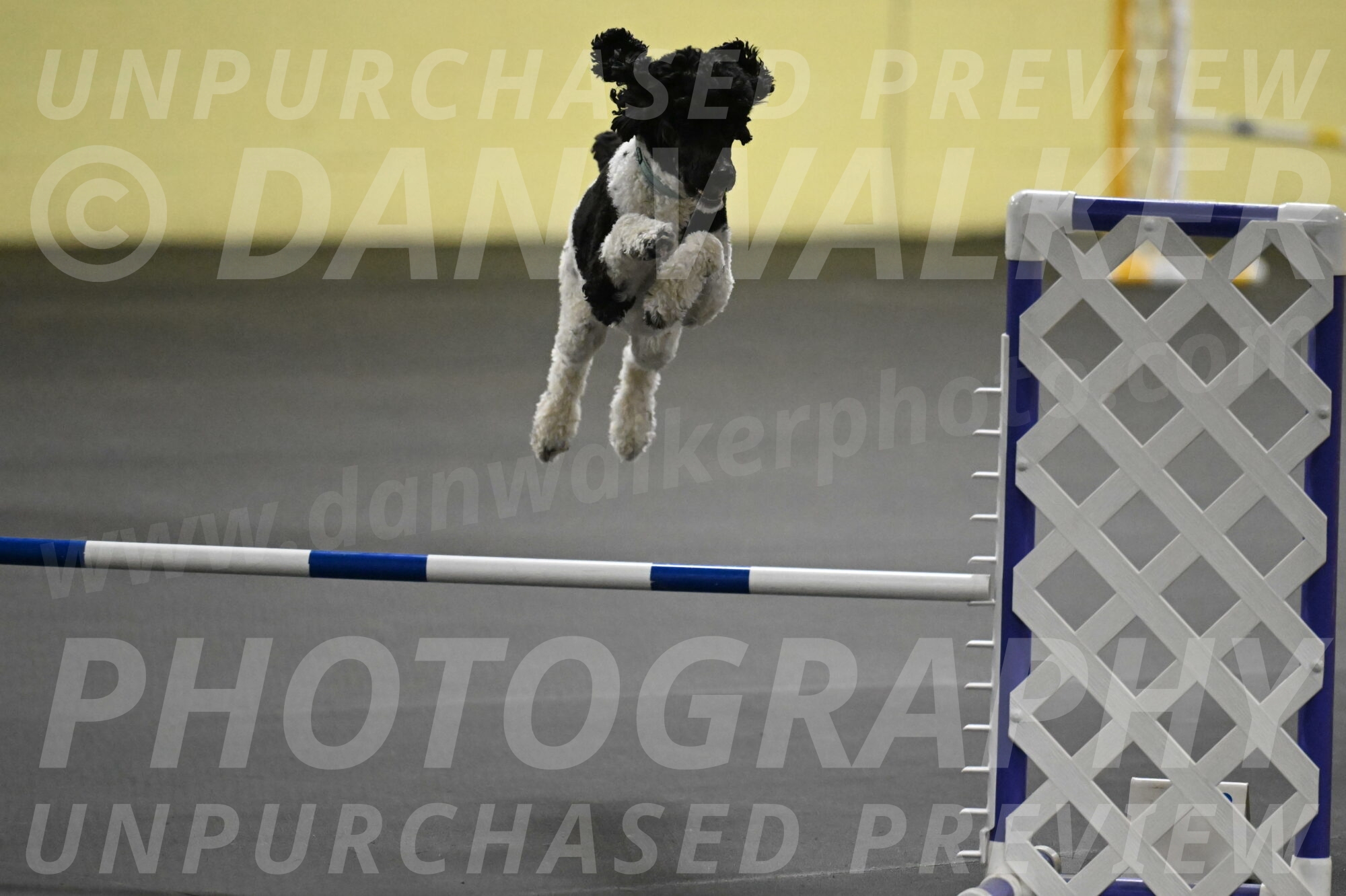 Jessie-DeBroux-10542