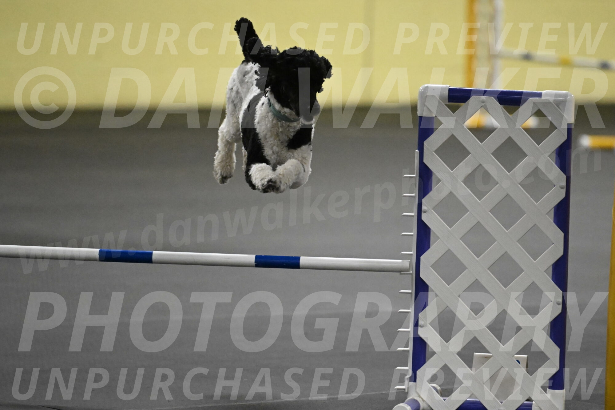 Jessie-DeBroux-10544