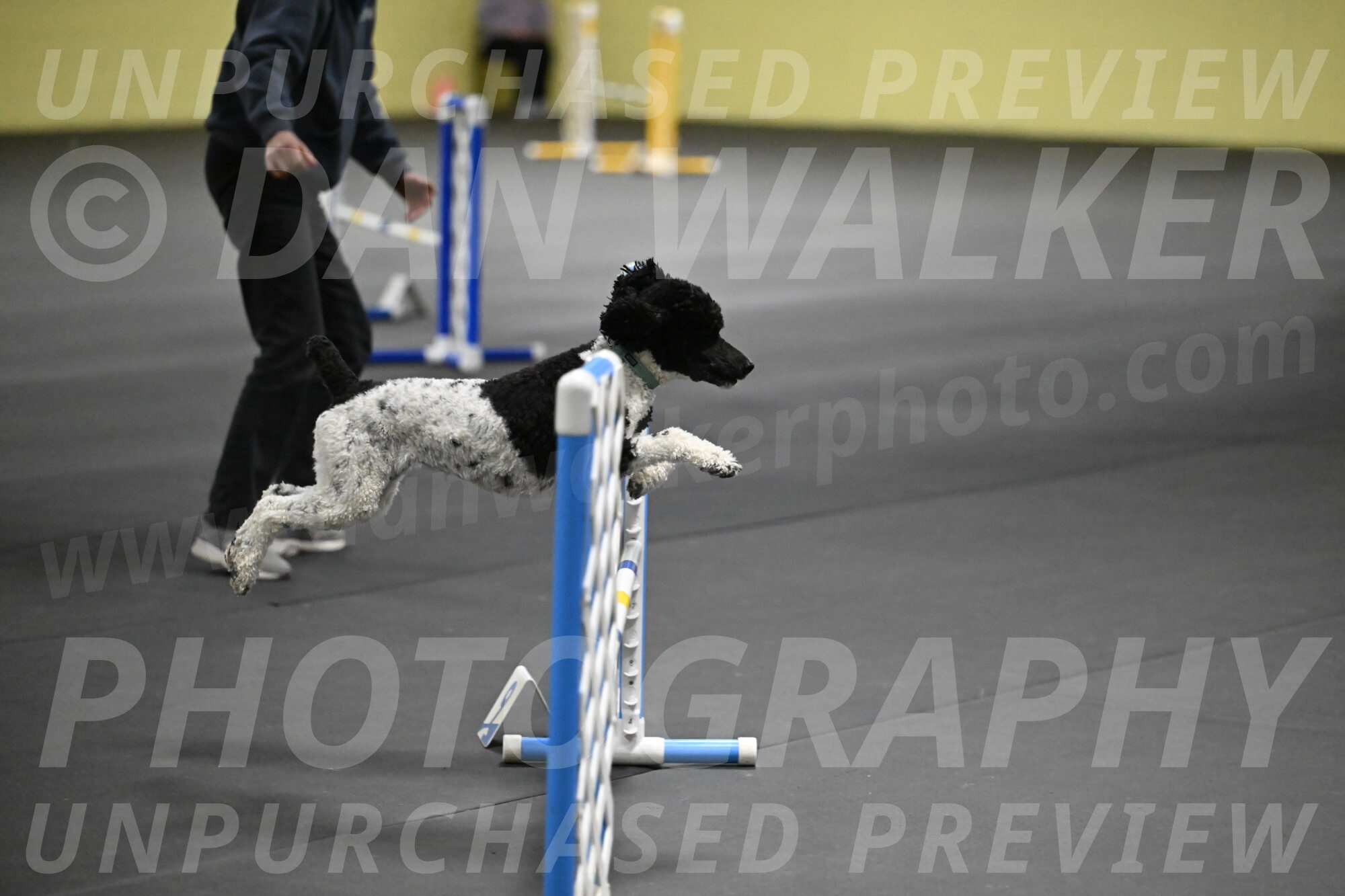 Jessie-DeBroux-10547