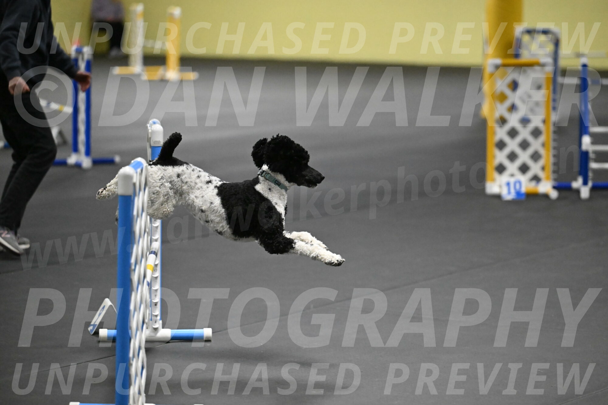 Jessie-DeBroux-10549