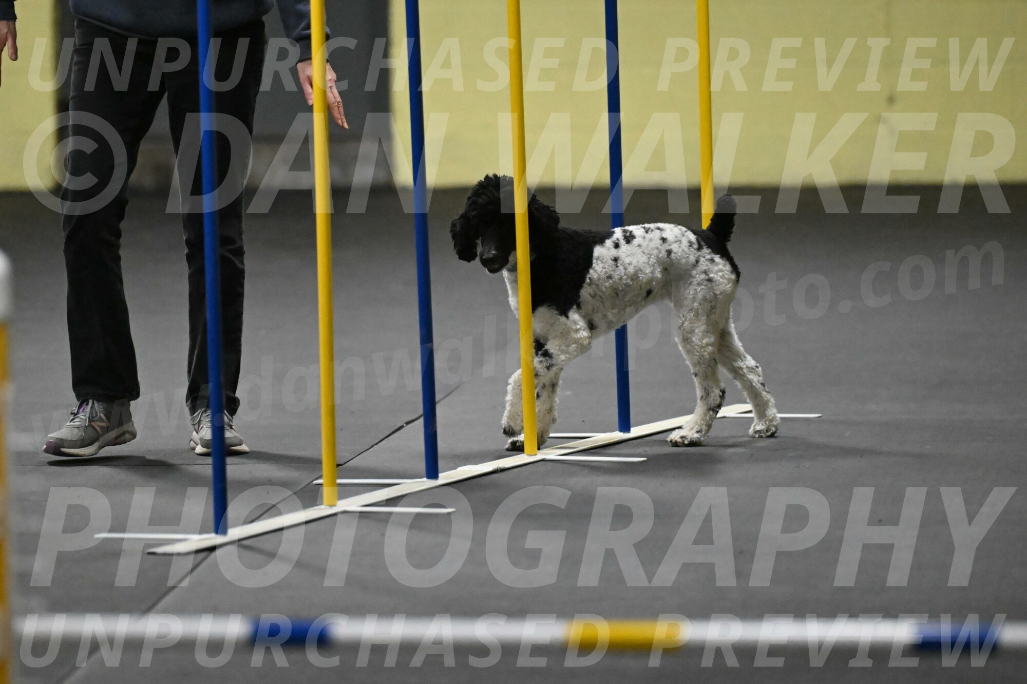 Jessie-DeBroux-10559