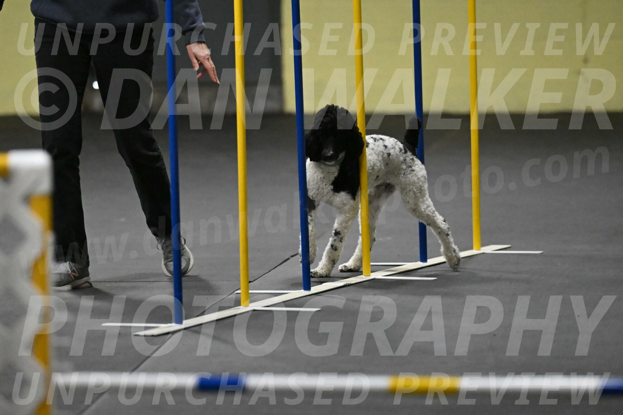 Jessie-DeBroux-10563