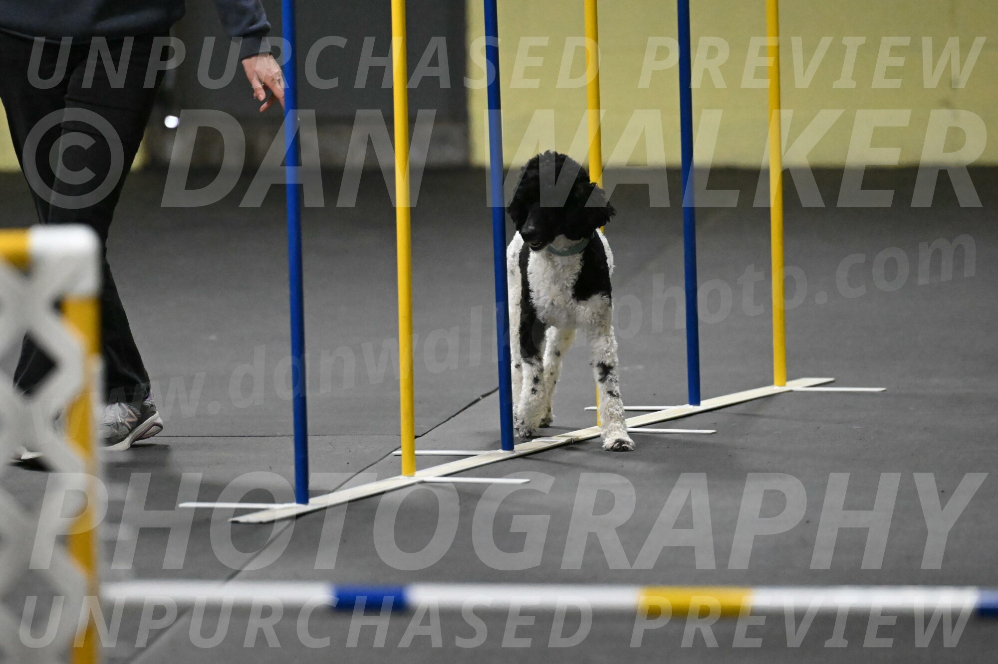 Jessie-DeBroux-10566