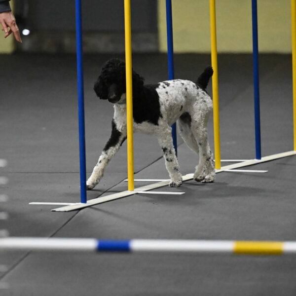 Jessie-DeBroux-10573