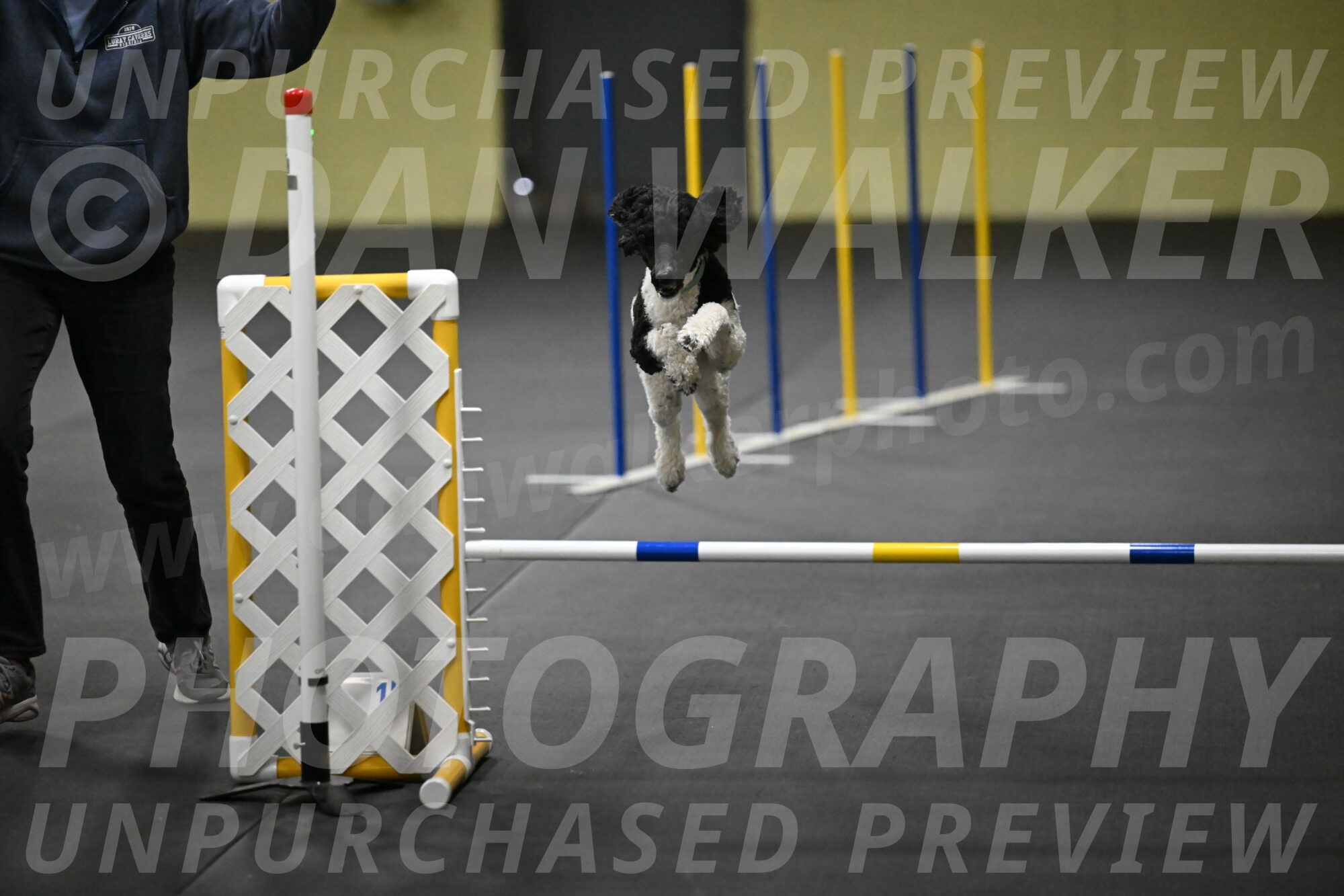 Jessie-DeBroux-10585