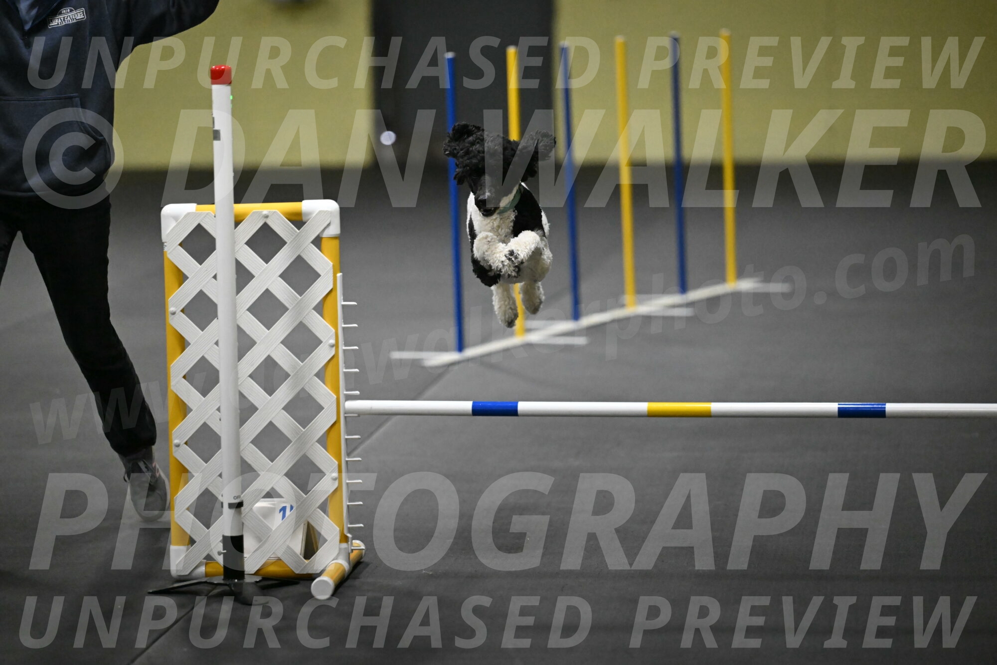 Jessie-DeBroux-10586