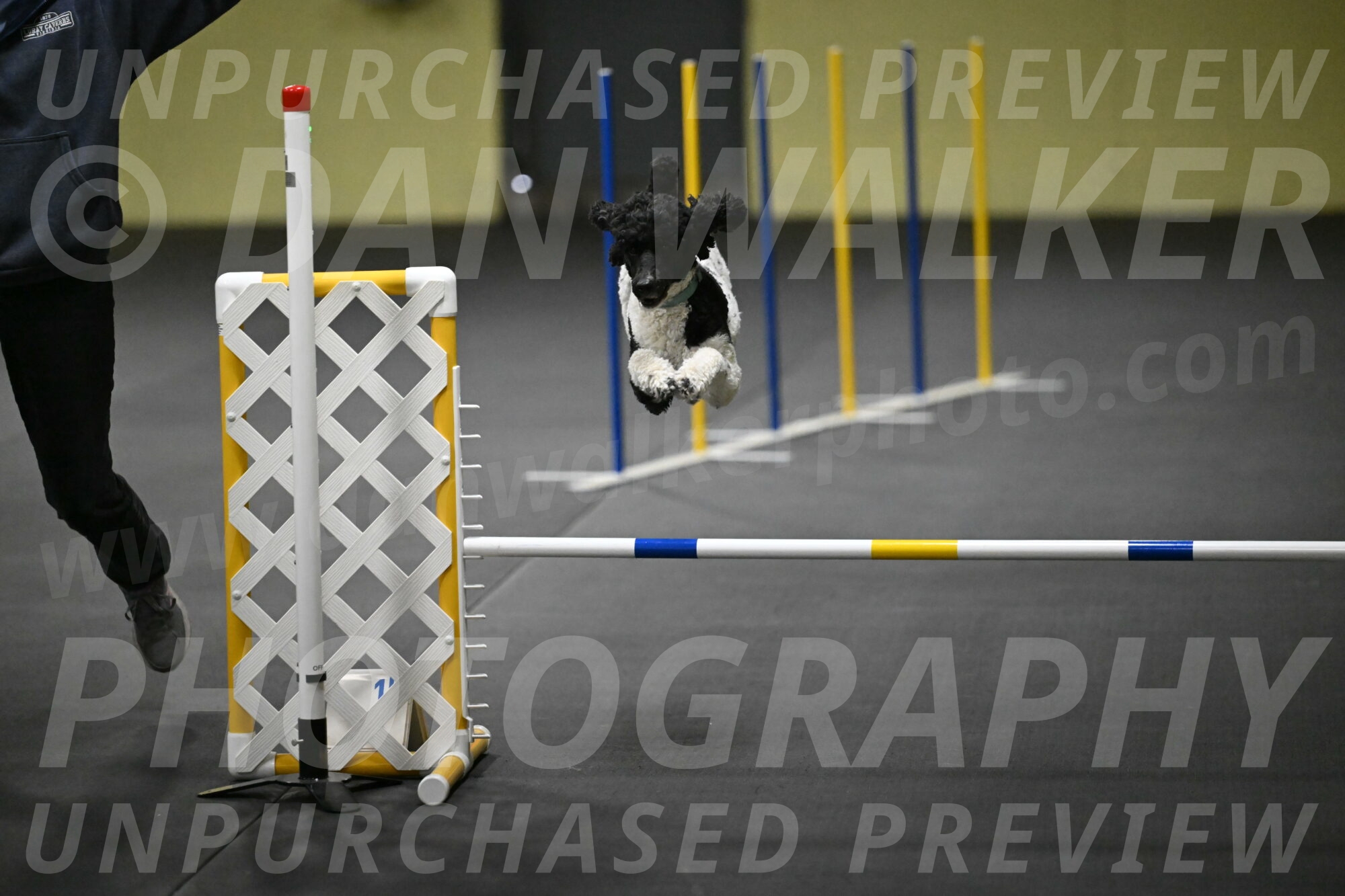 Jessie-DeBroux-10587