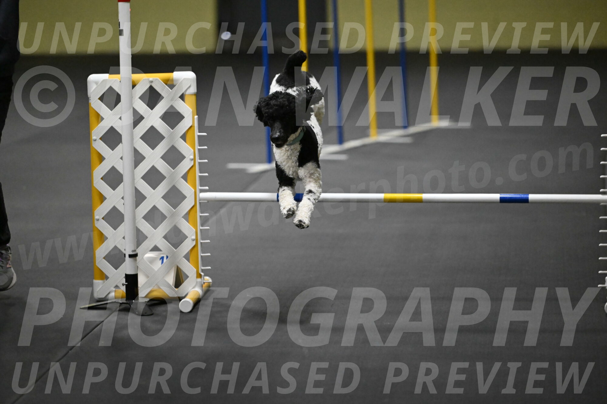 Jessie-DeBroux-10589