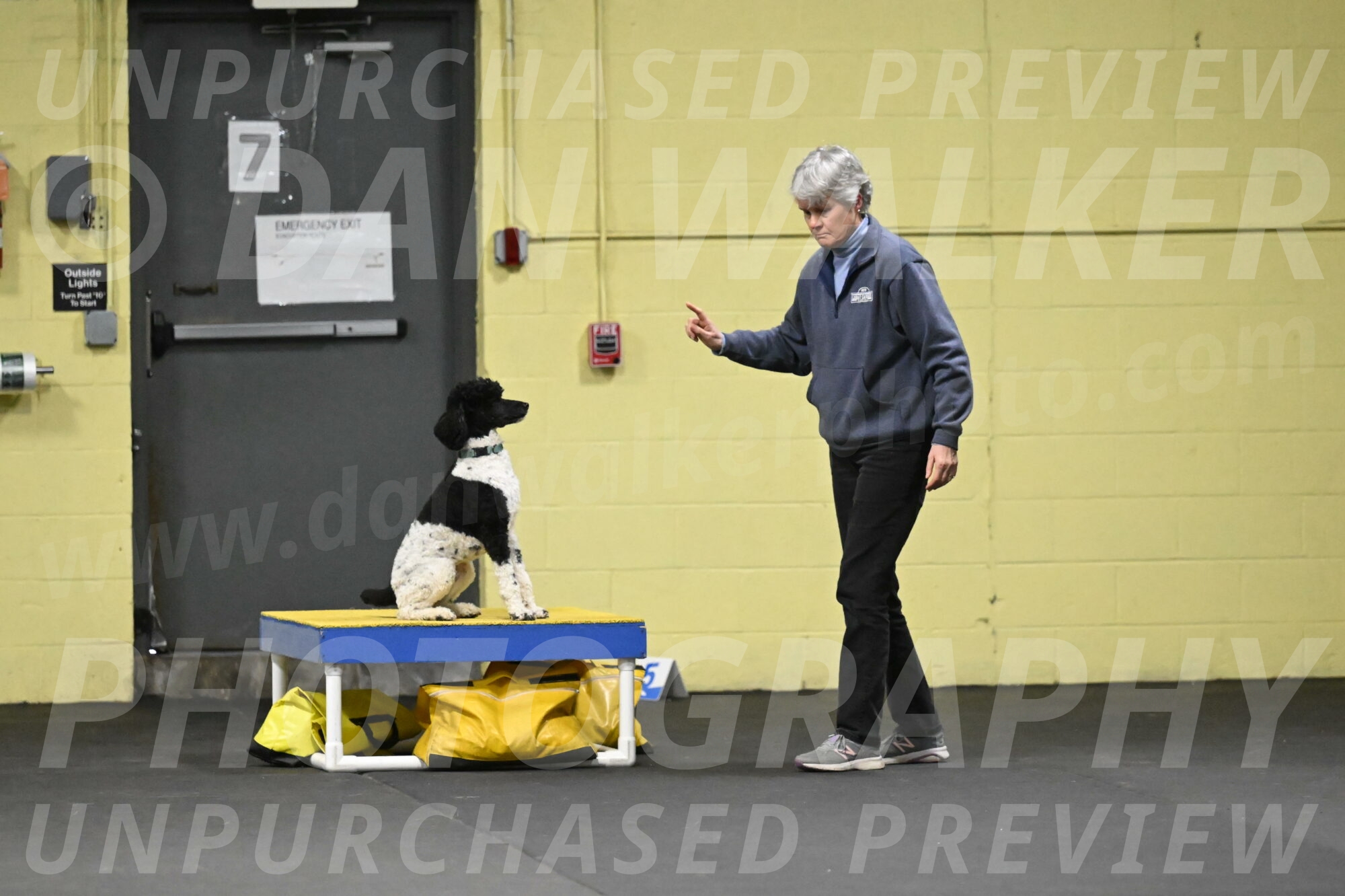 Jessie-DeBroux-10593