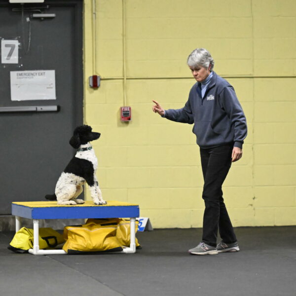 Jessie-DeBroux-10593